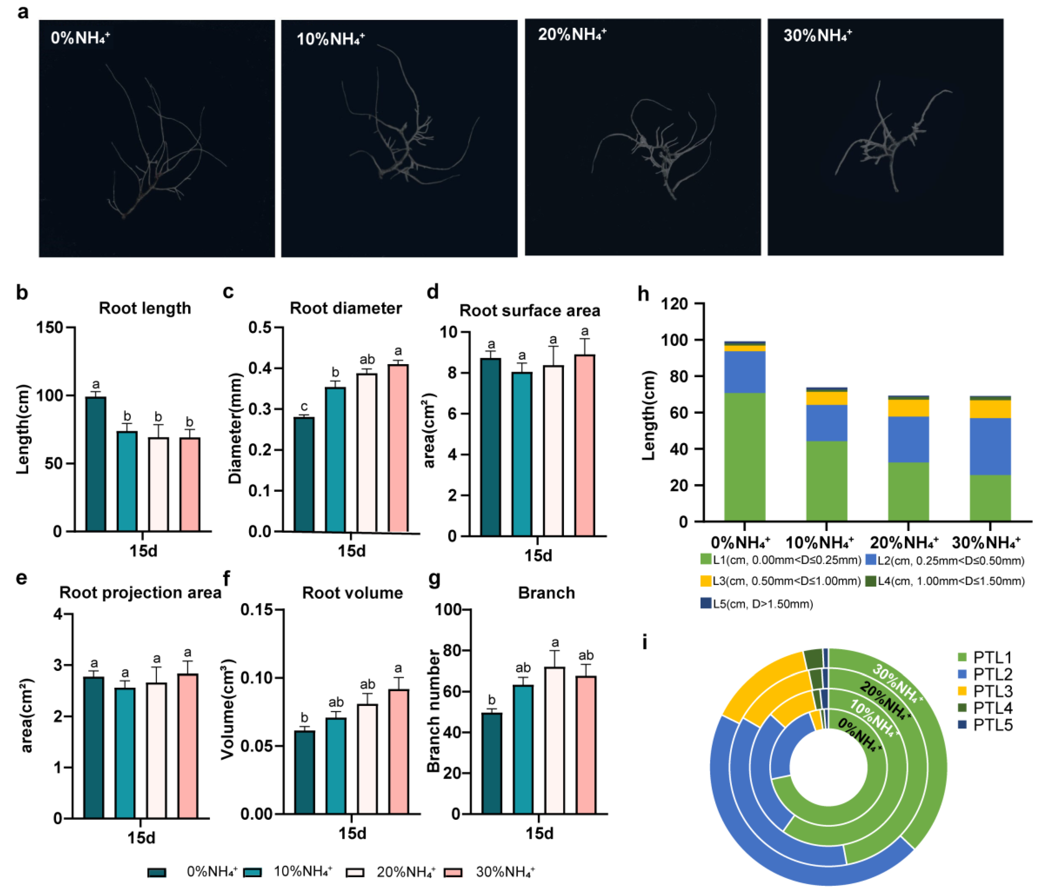 Preprints 71452 g004