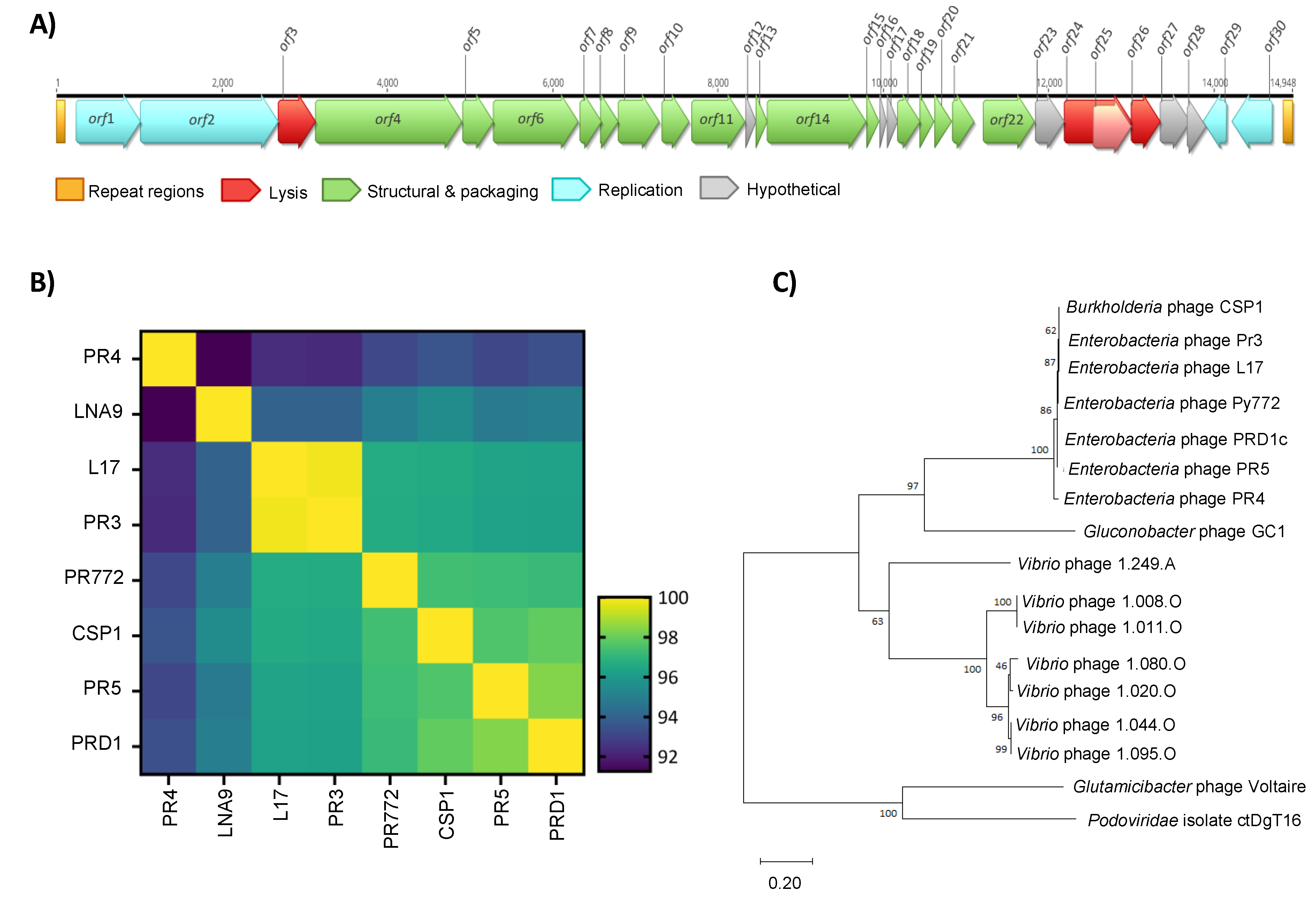 Preprints 70610 g001