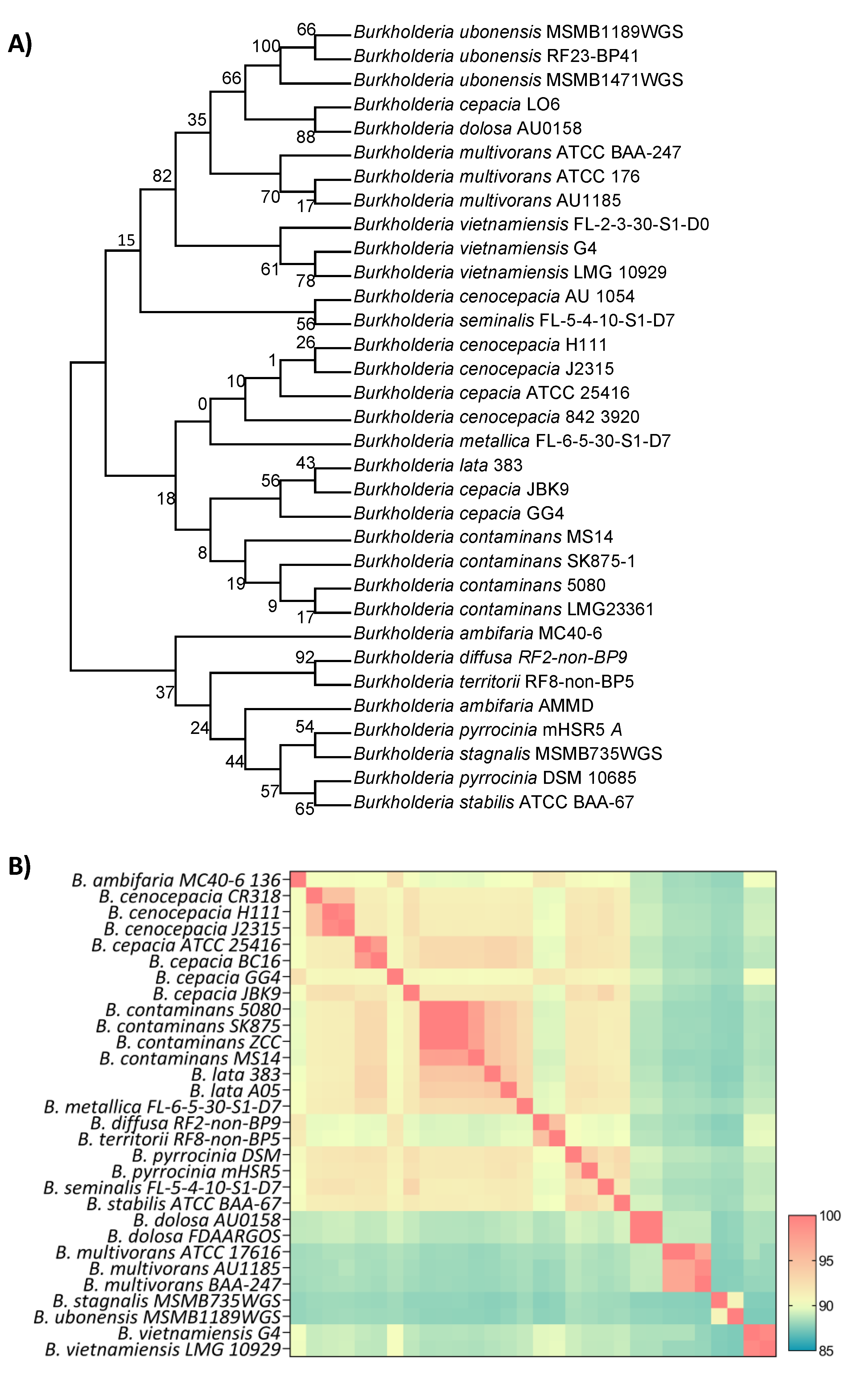 Preprints 70610 g002