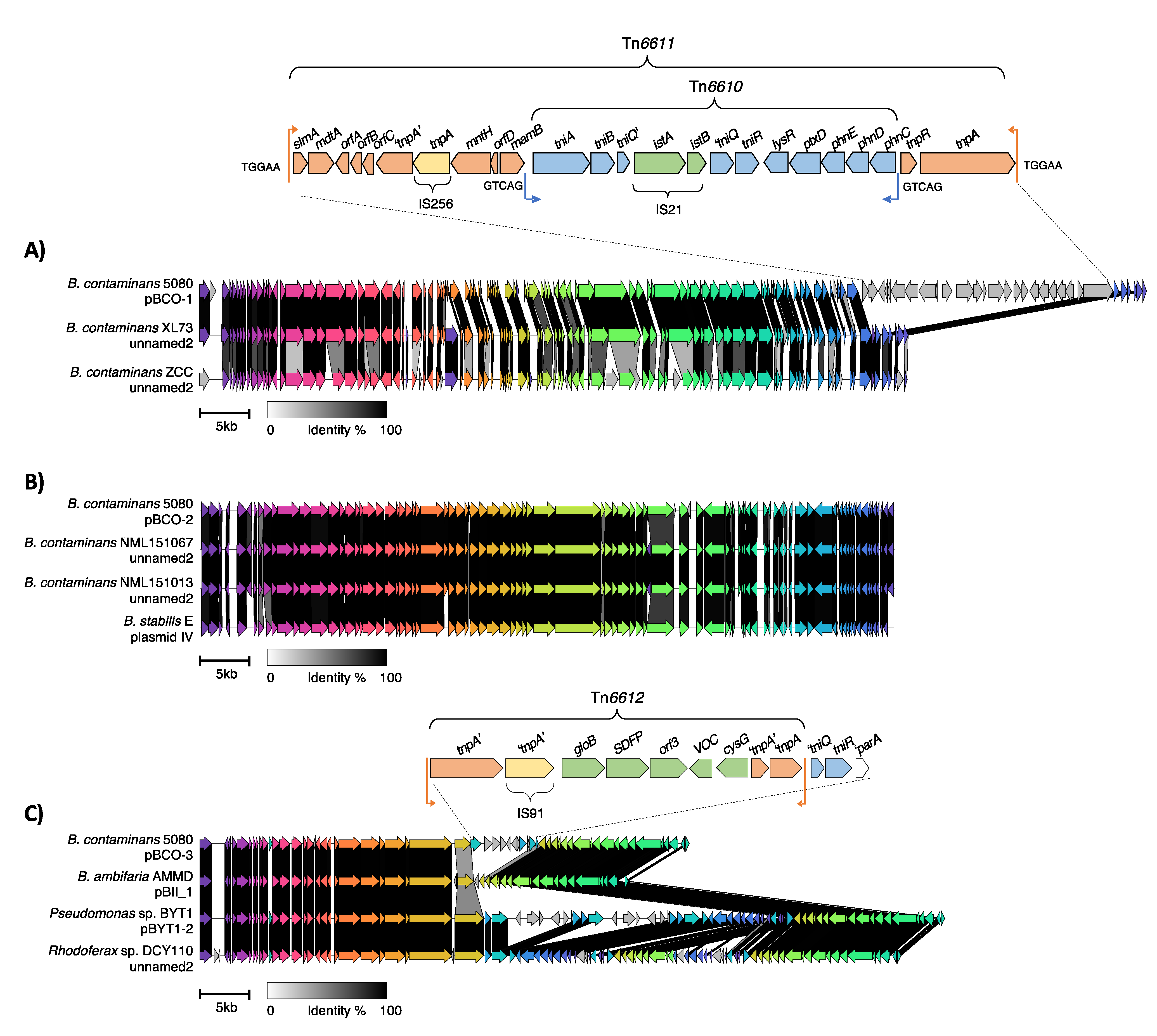 Preprints 70610 g003