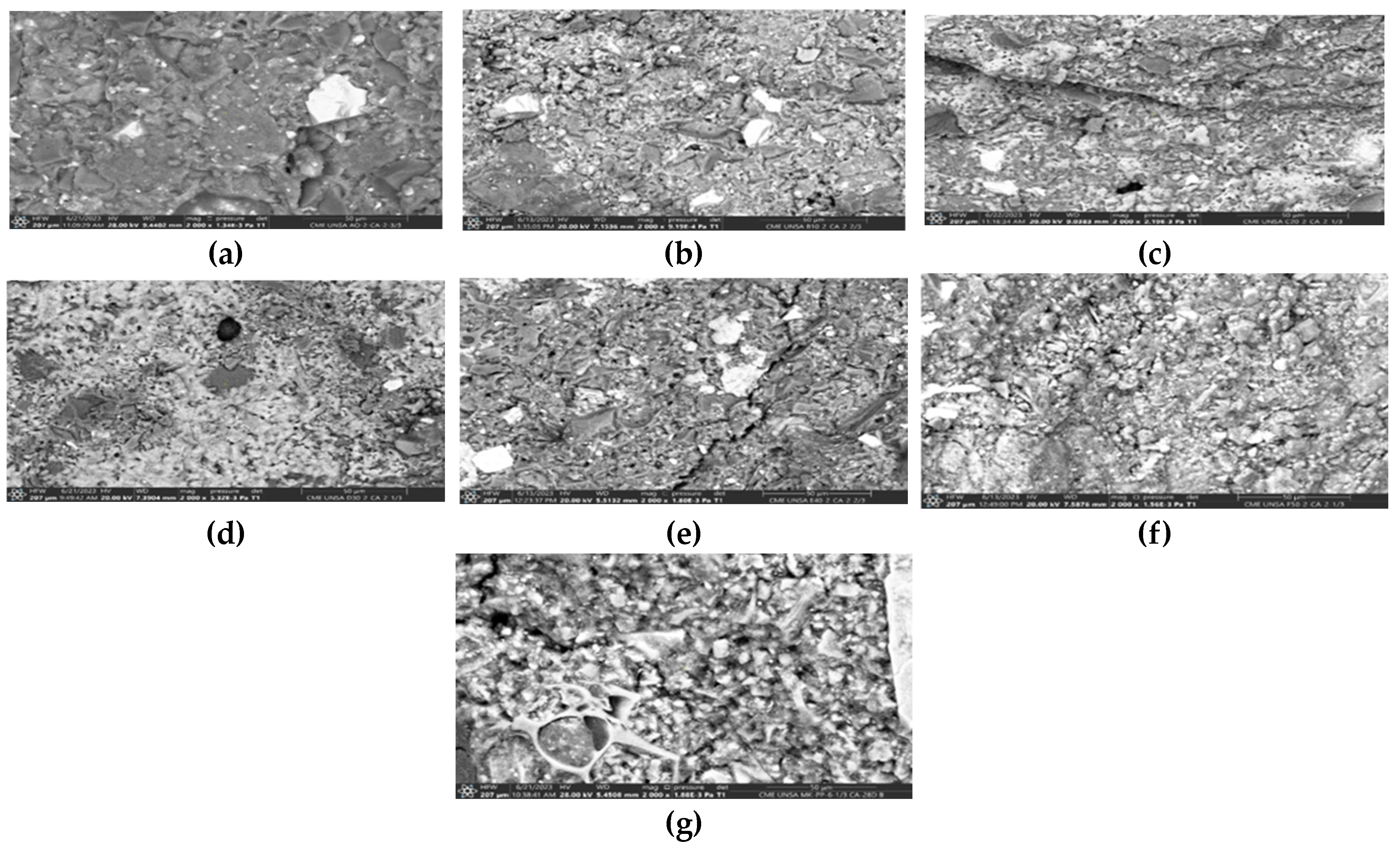 Preprints 114507 g011