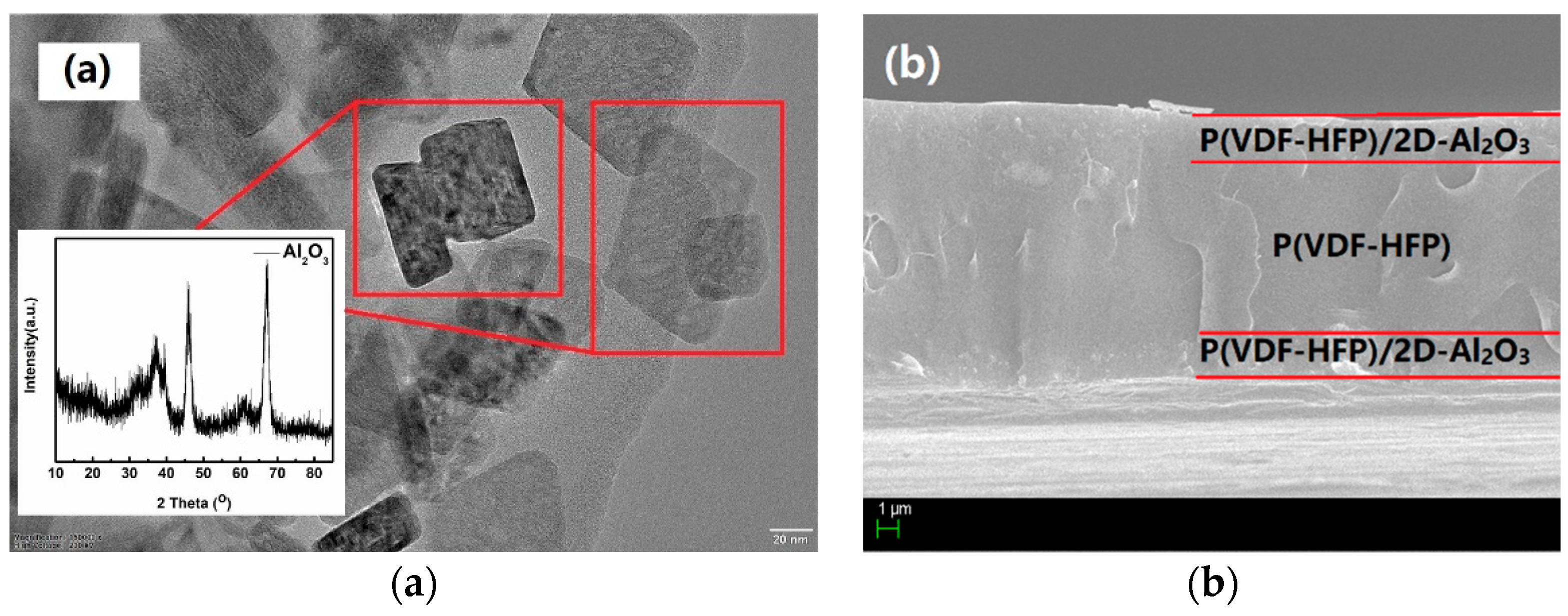 Preprints 87242 g002