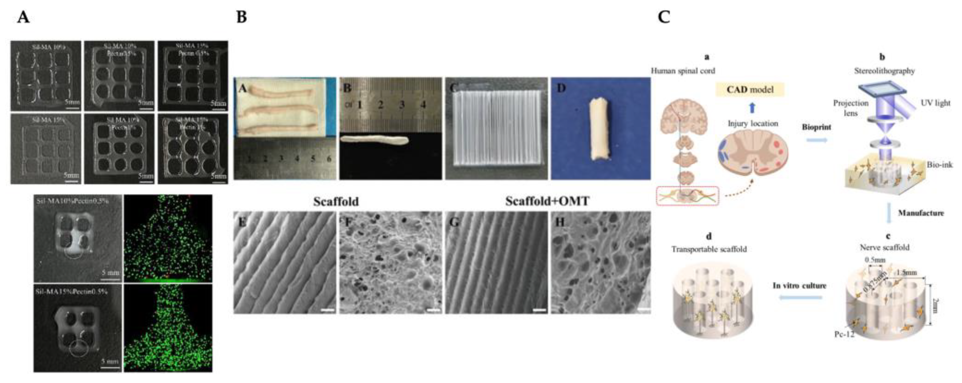 Preprints 121897 g008