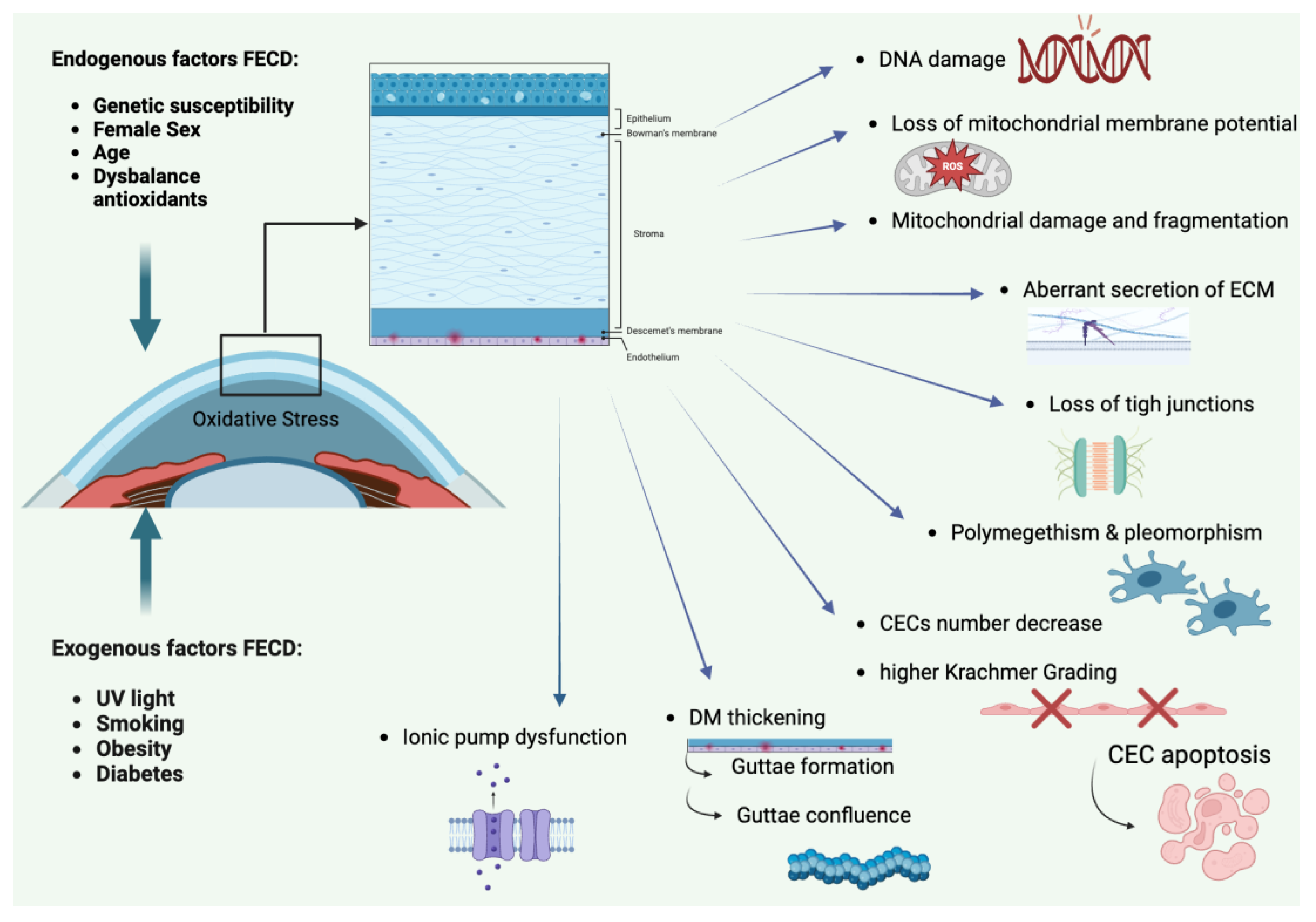 Preprints 106676 g001