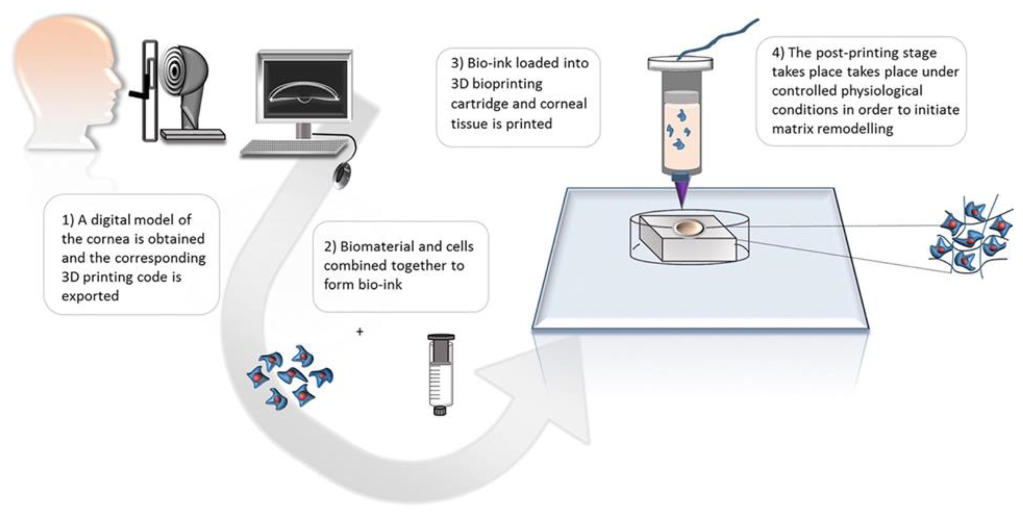 Preprints 106676 g007