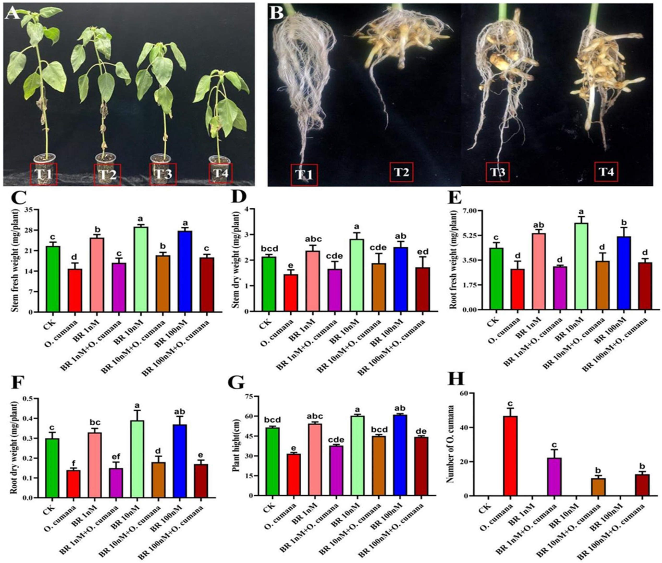 Preprints 91127 g001