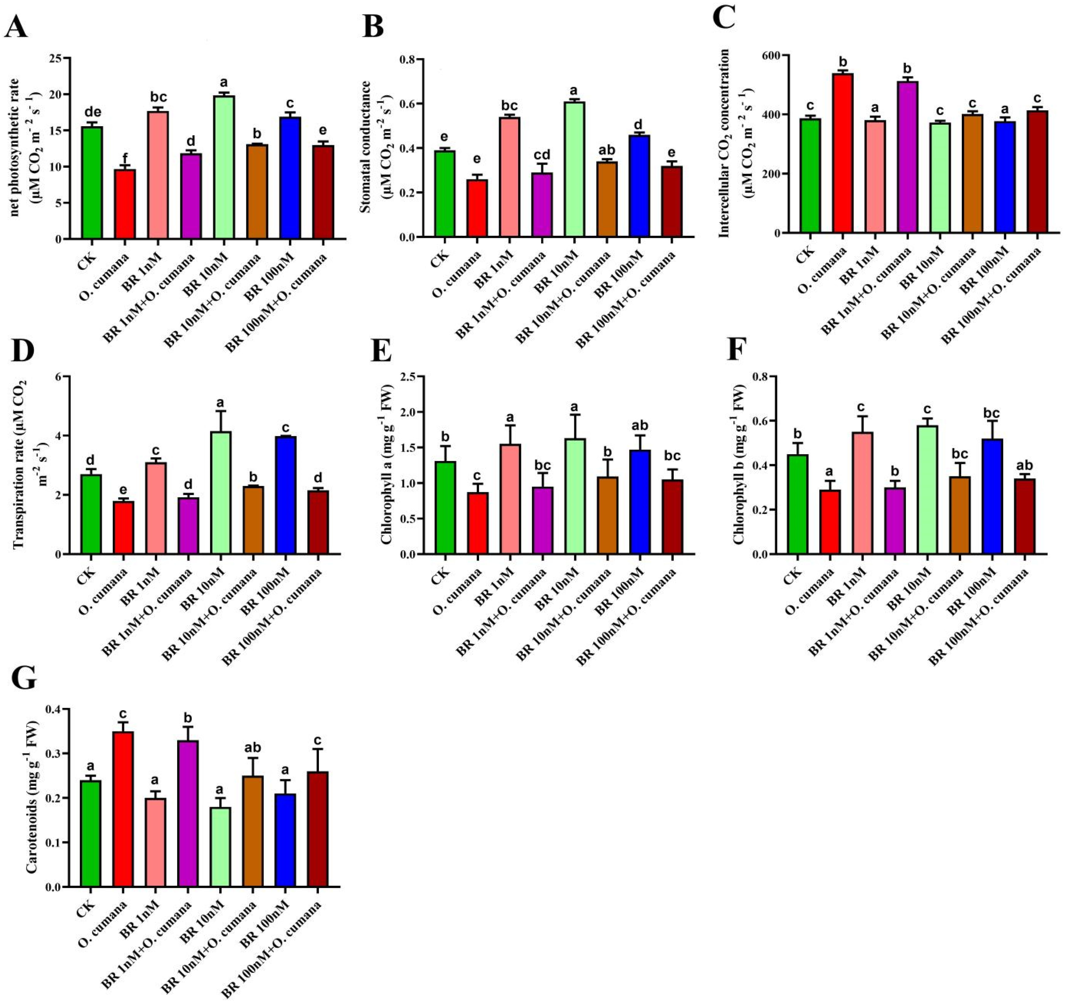 Preprints 91127 g002