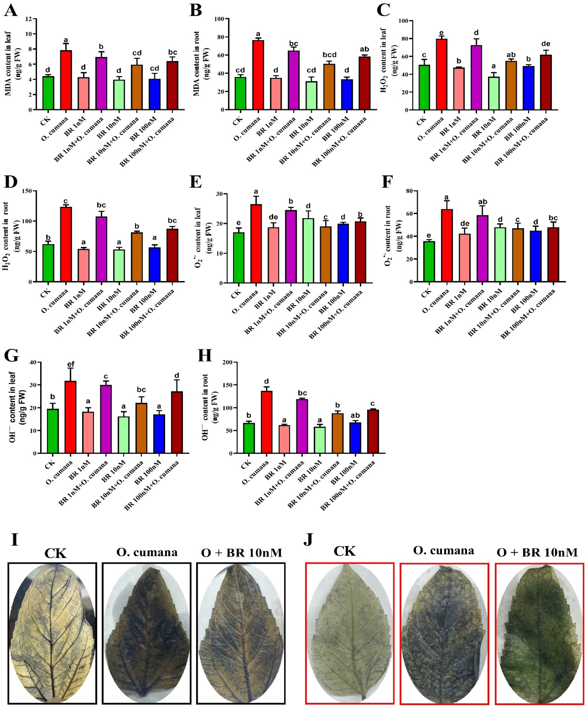 Preprints 91127 g003