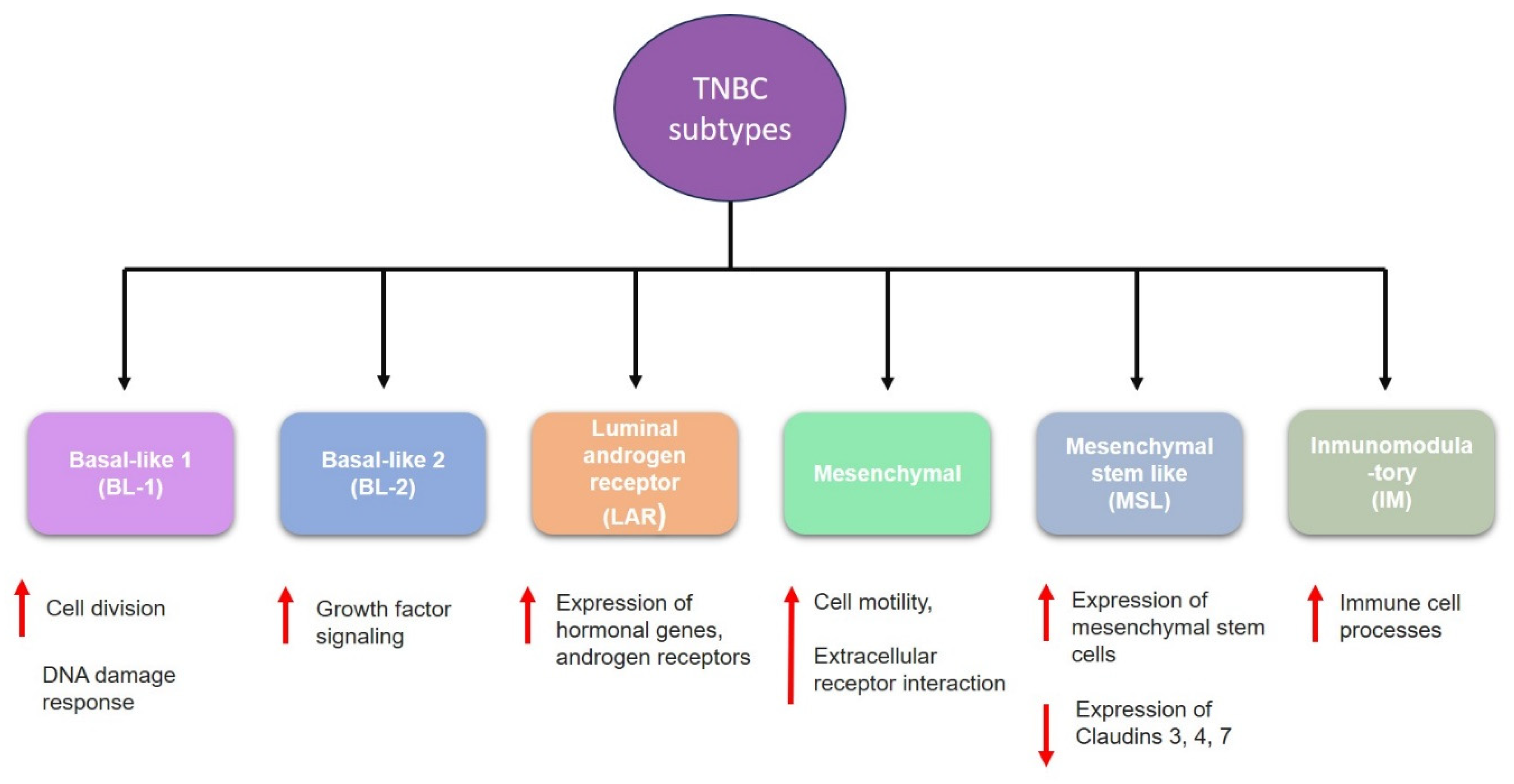 Preprints 112970 g002