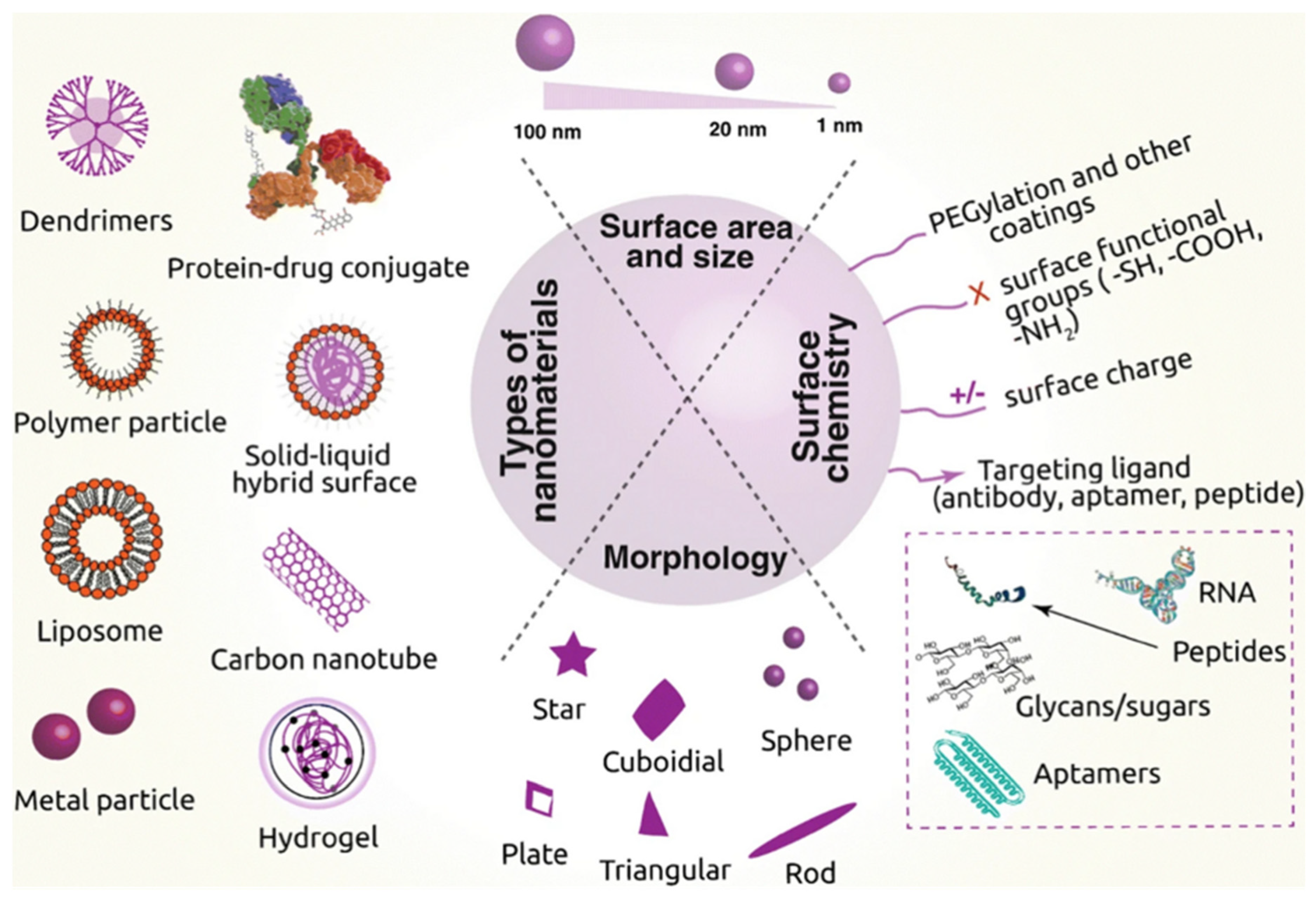 Preprints 112970 g003