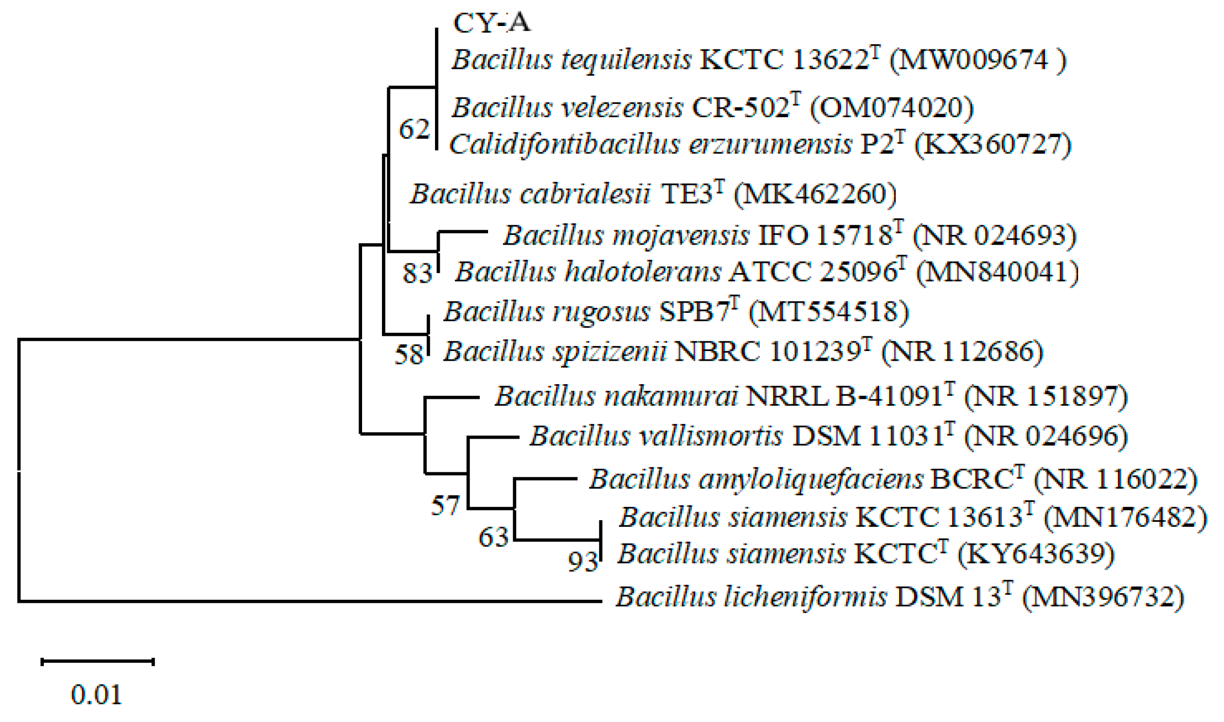 Preprints 96125 g005