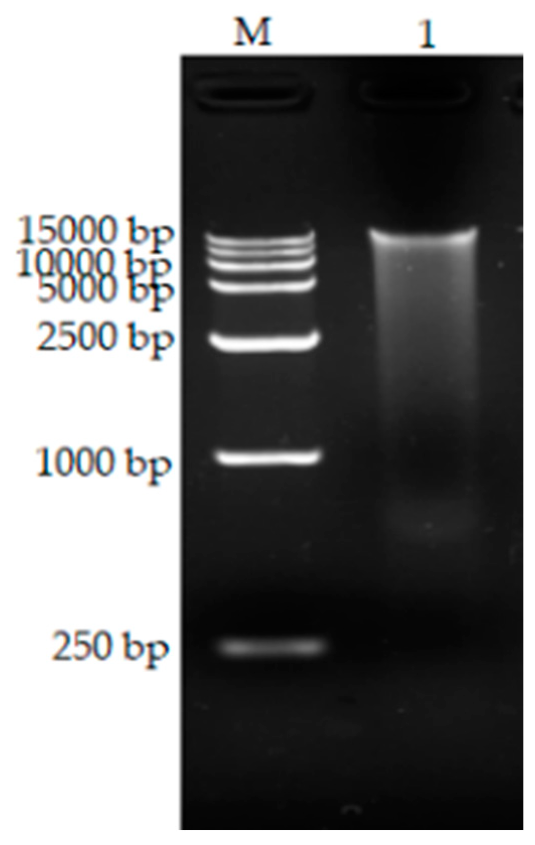 Preprints 96125 g006