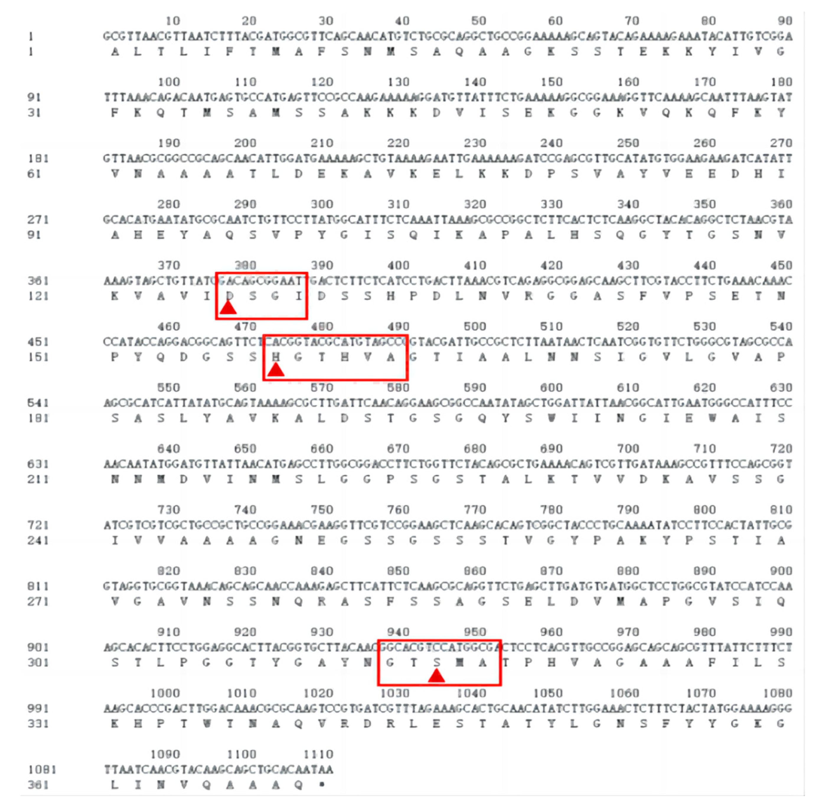 Preprints 96125 g008