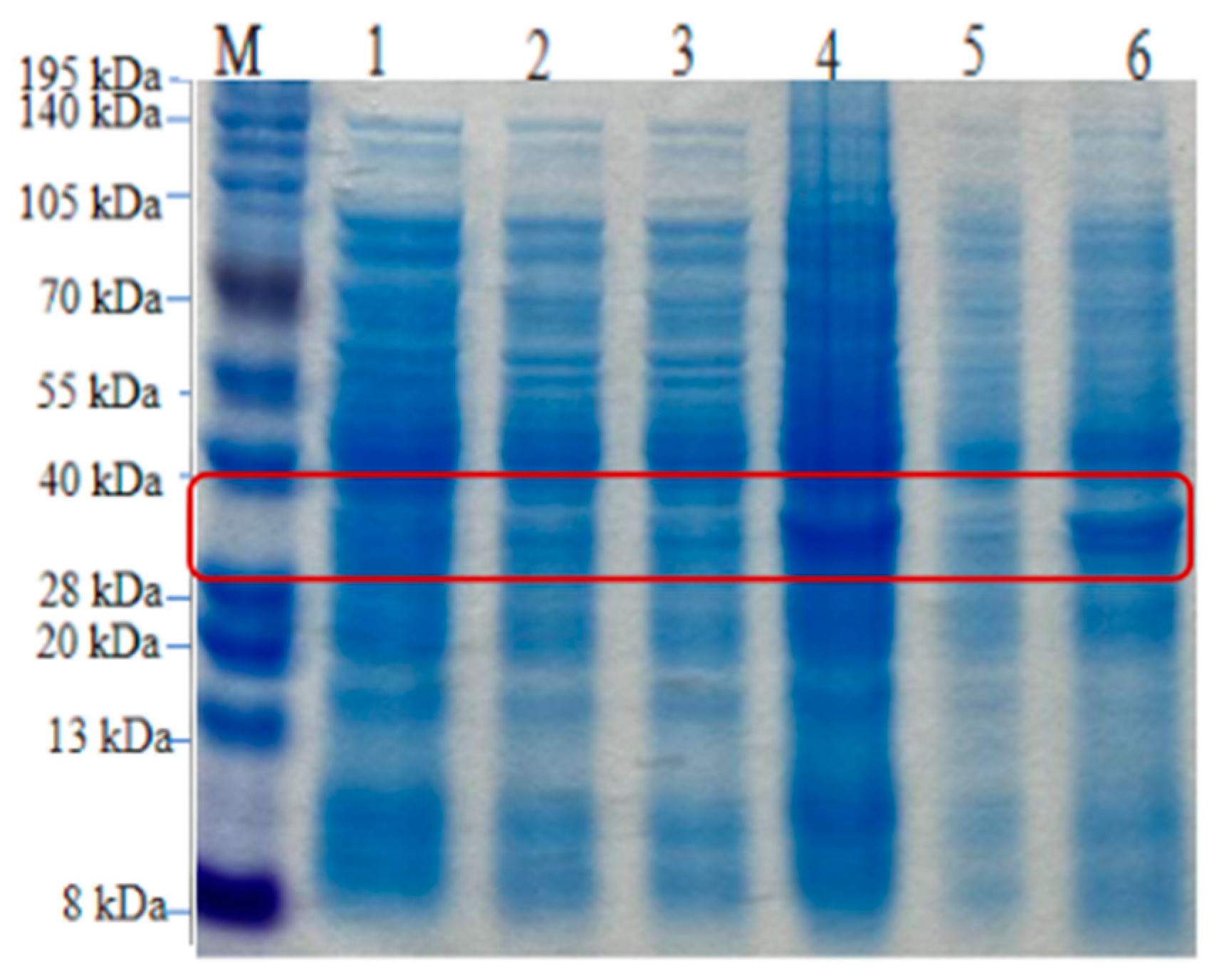 Preprints 96125 g015