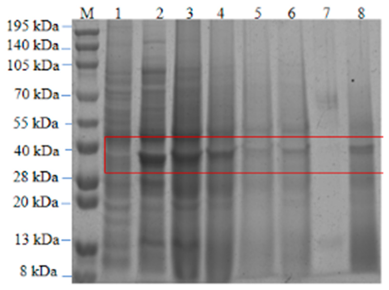 Preprints 96125 g016