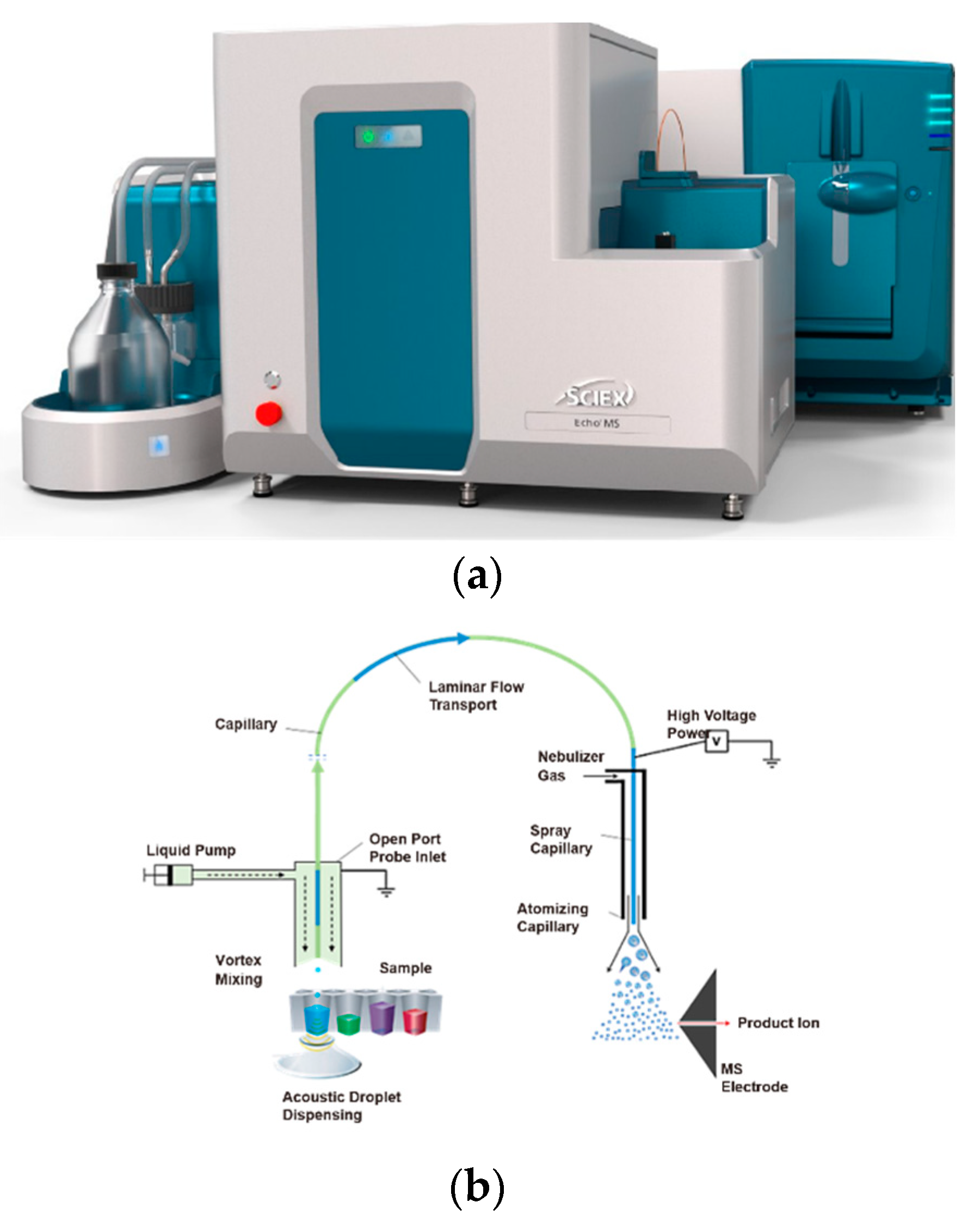 Preprints 100575 g001