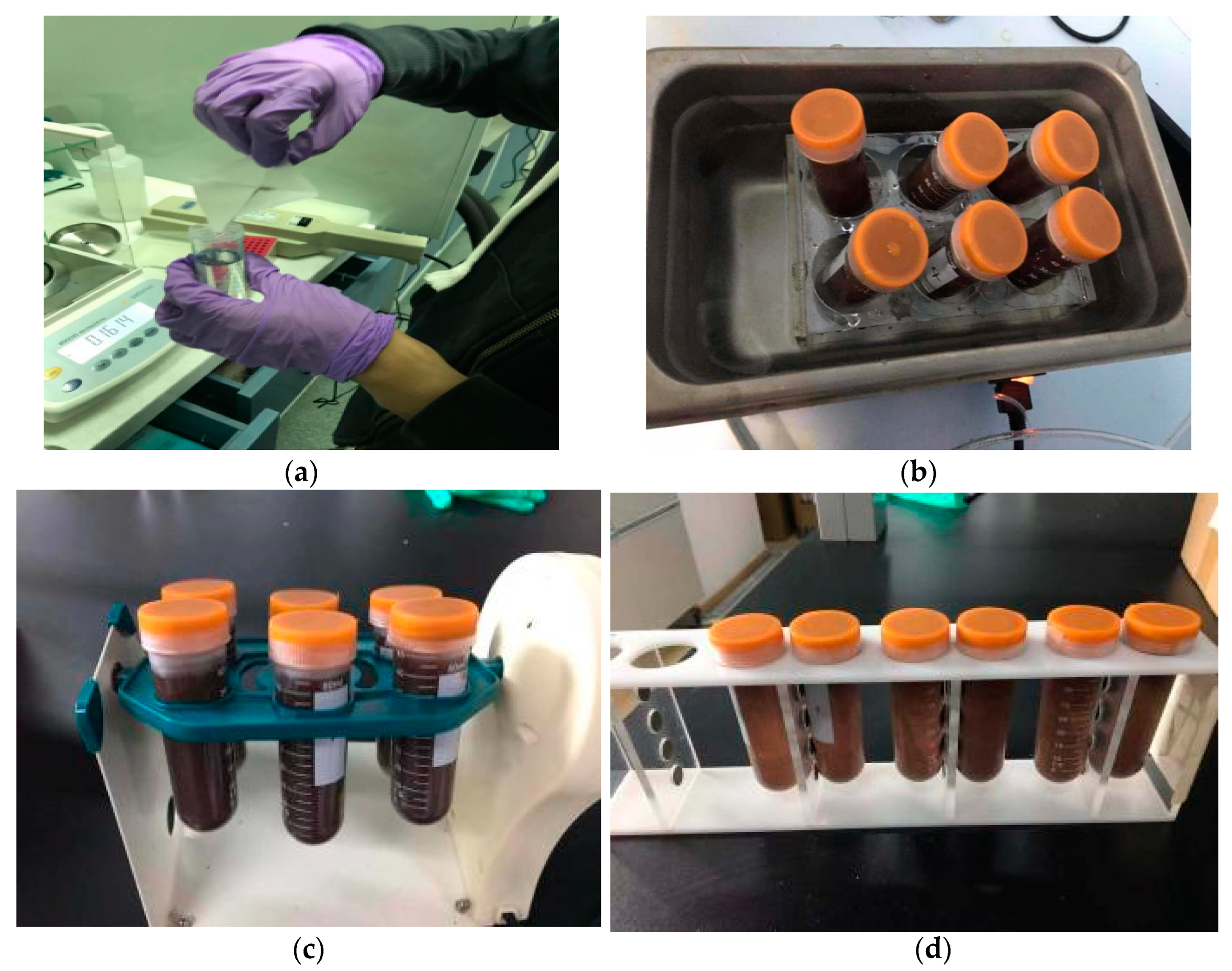 Preprints 100575 g002