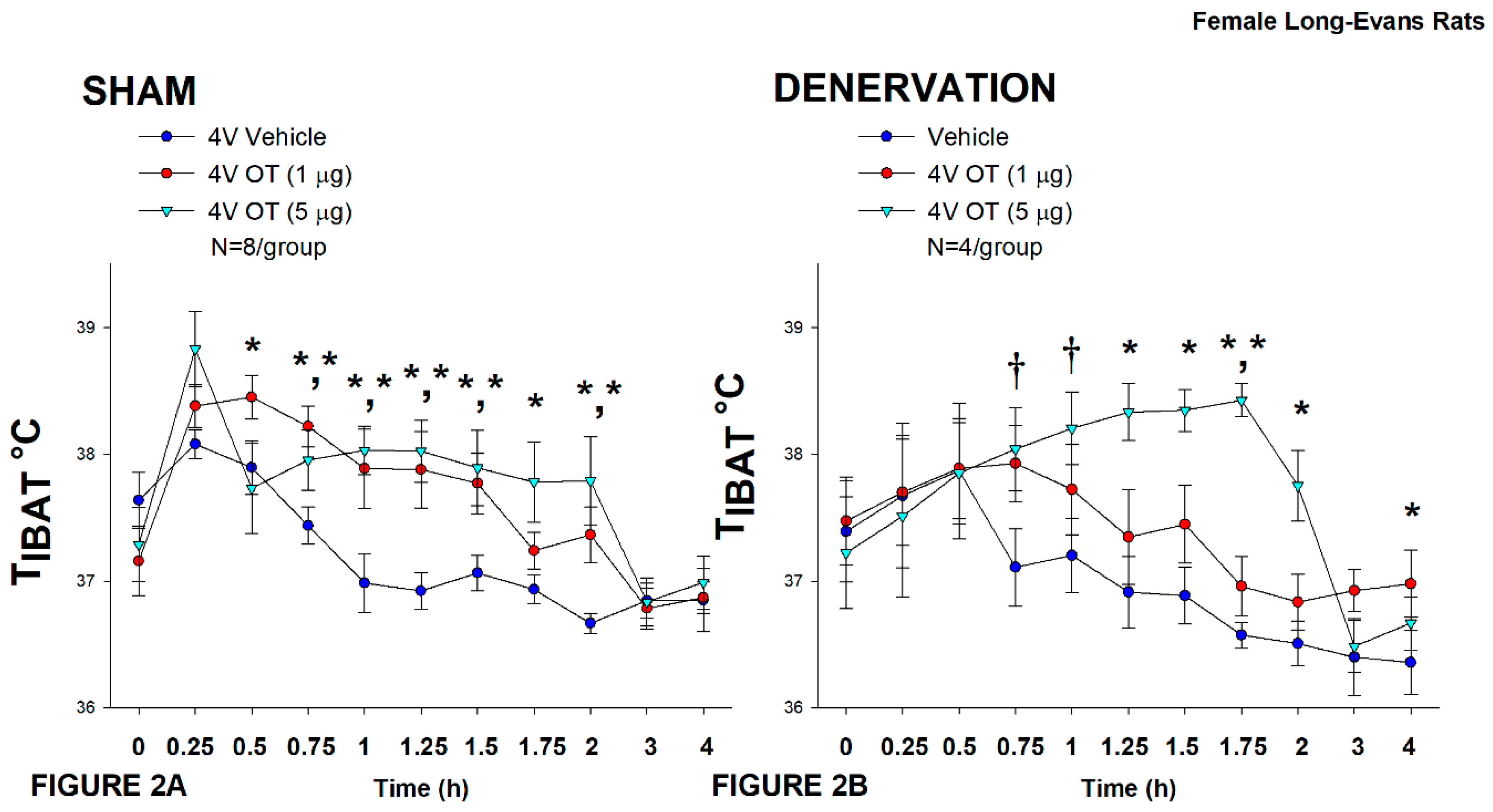 Preprints 119674 g002