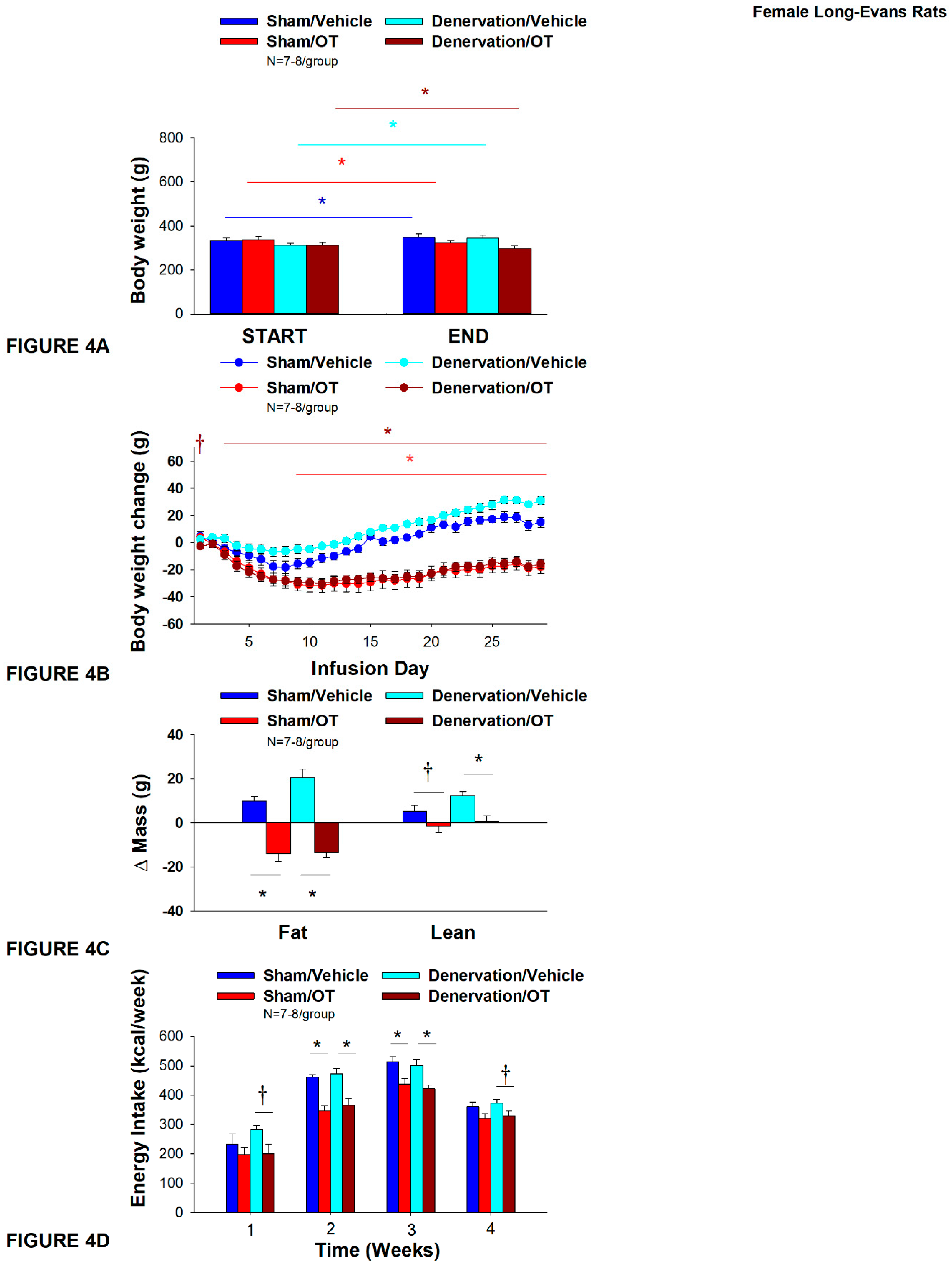 Preprints 119674 g004