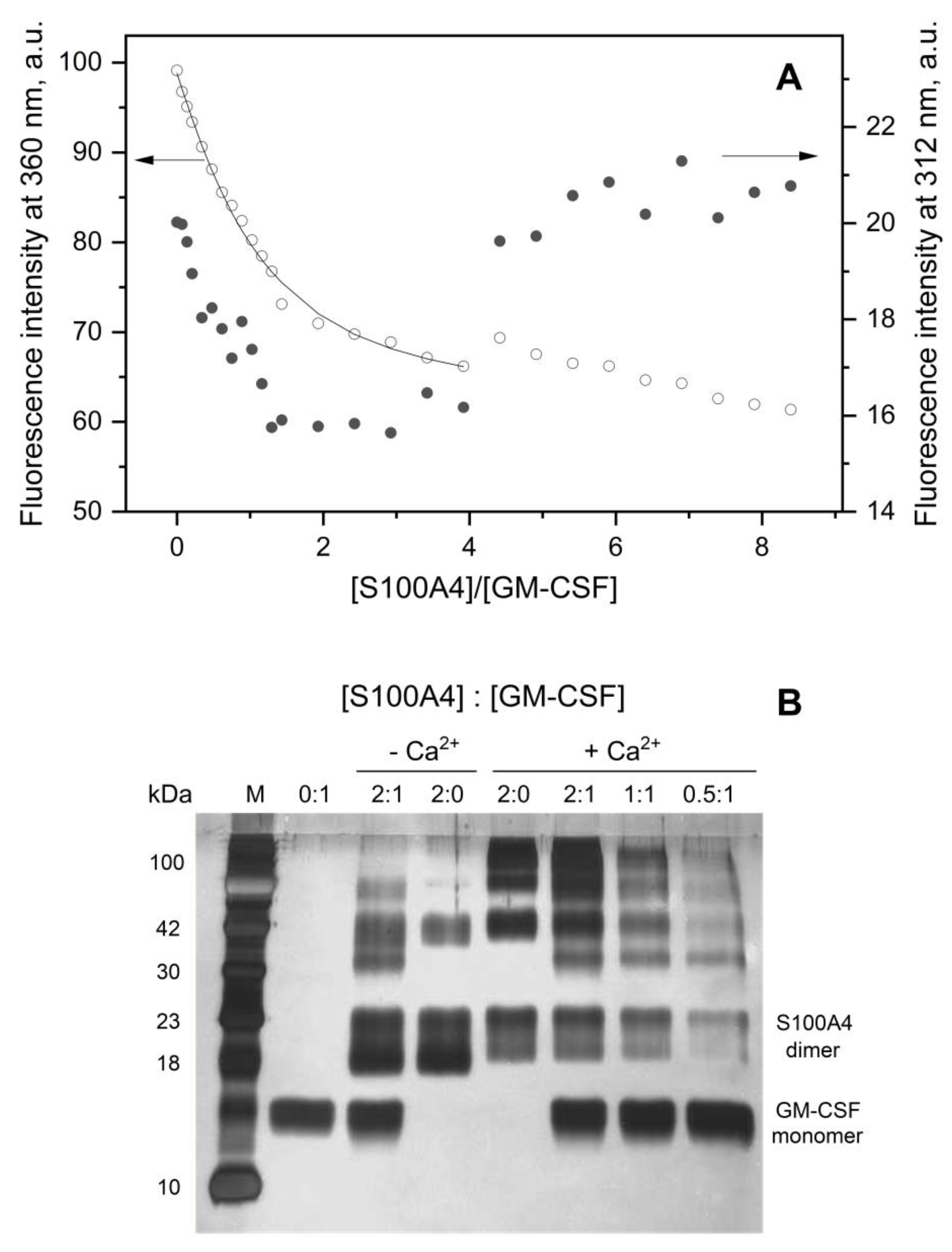 Preprints 90215 g002