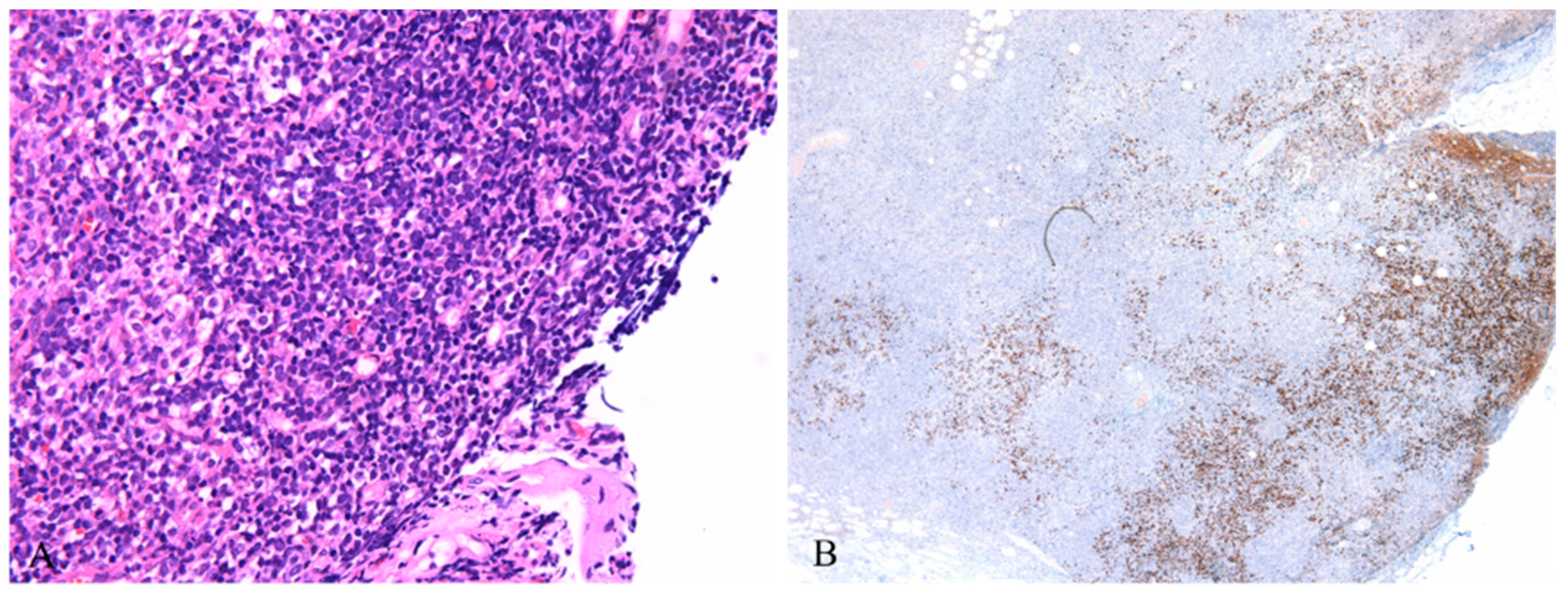 Preprints 85003 g003