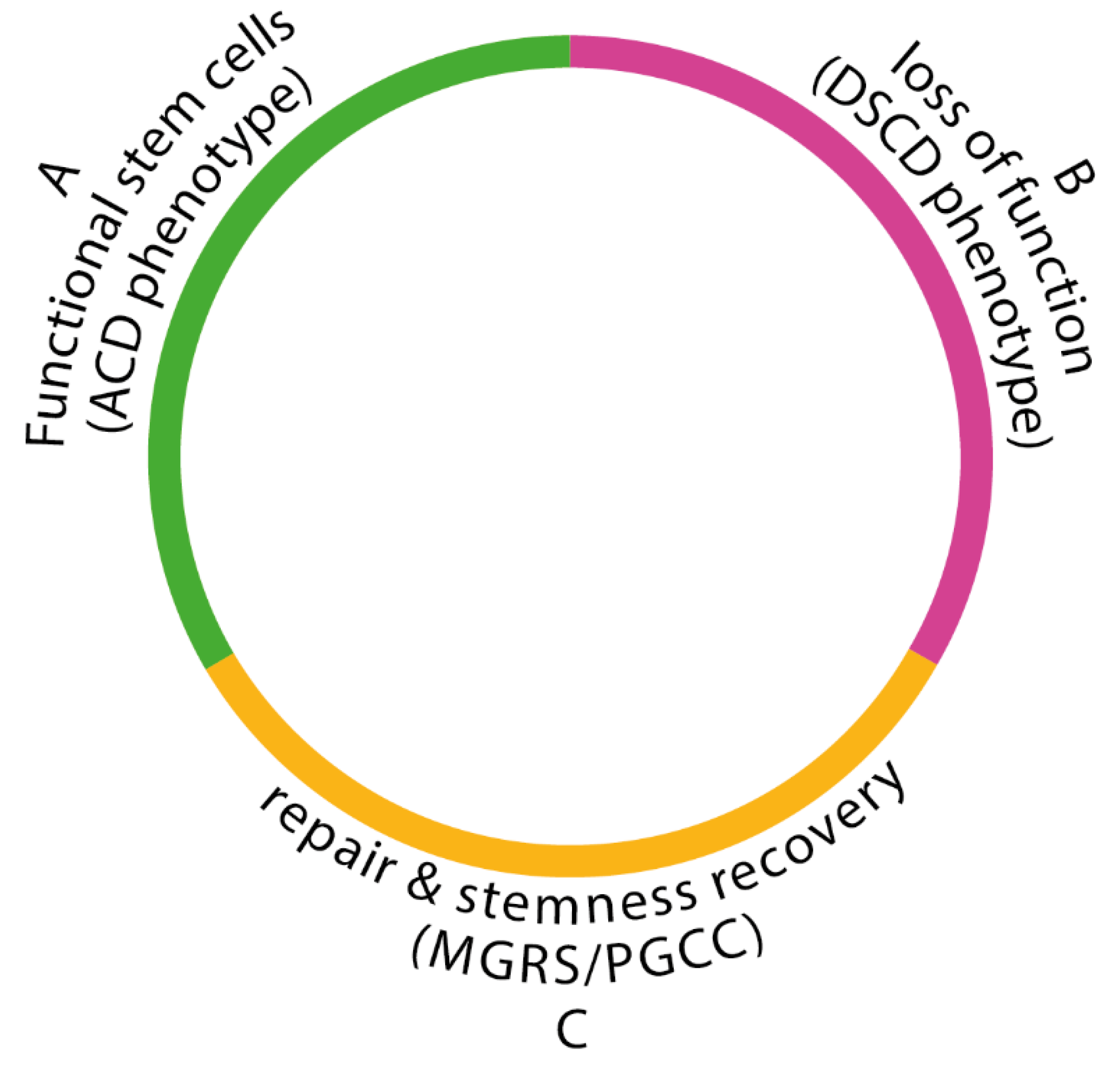 Preprints 104199 g001