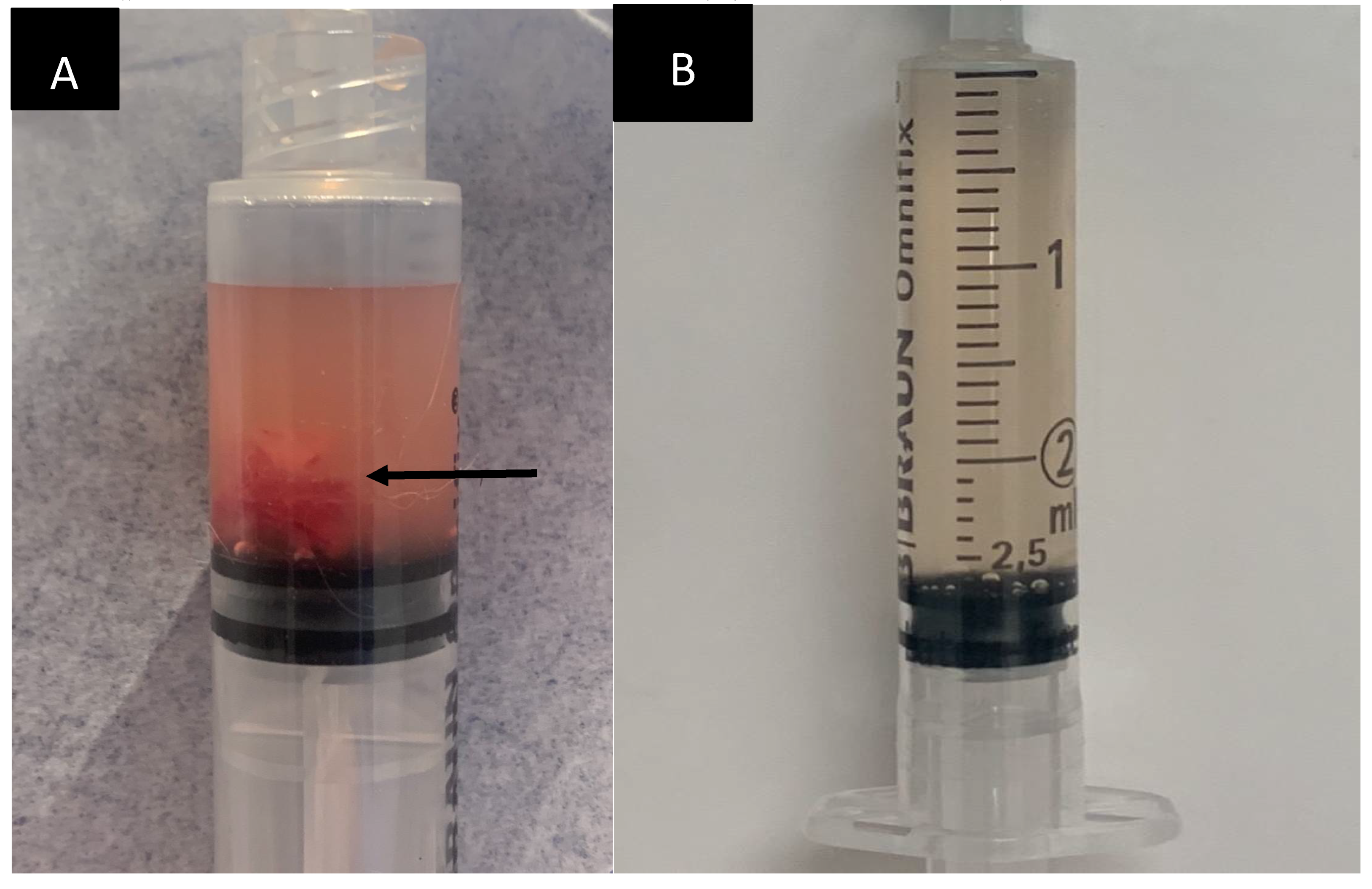 Preprints 109667 g009