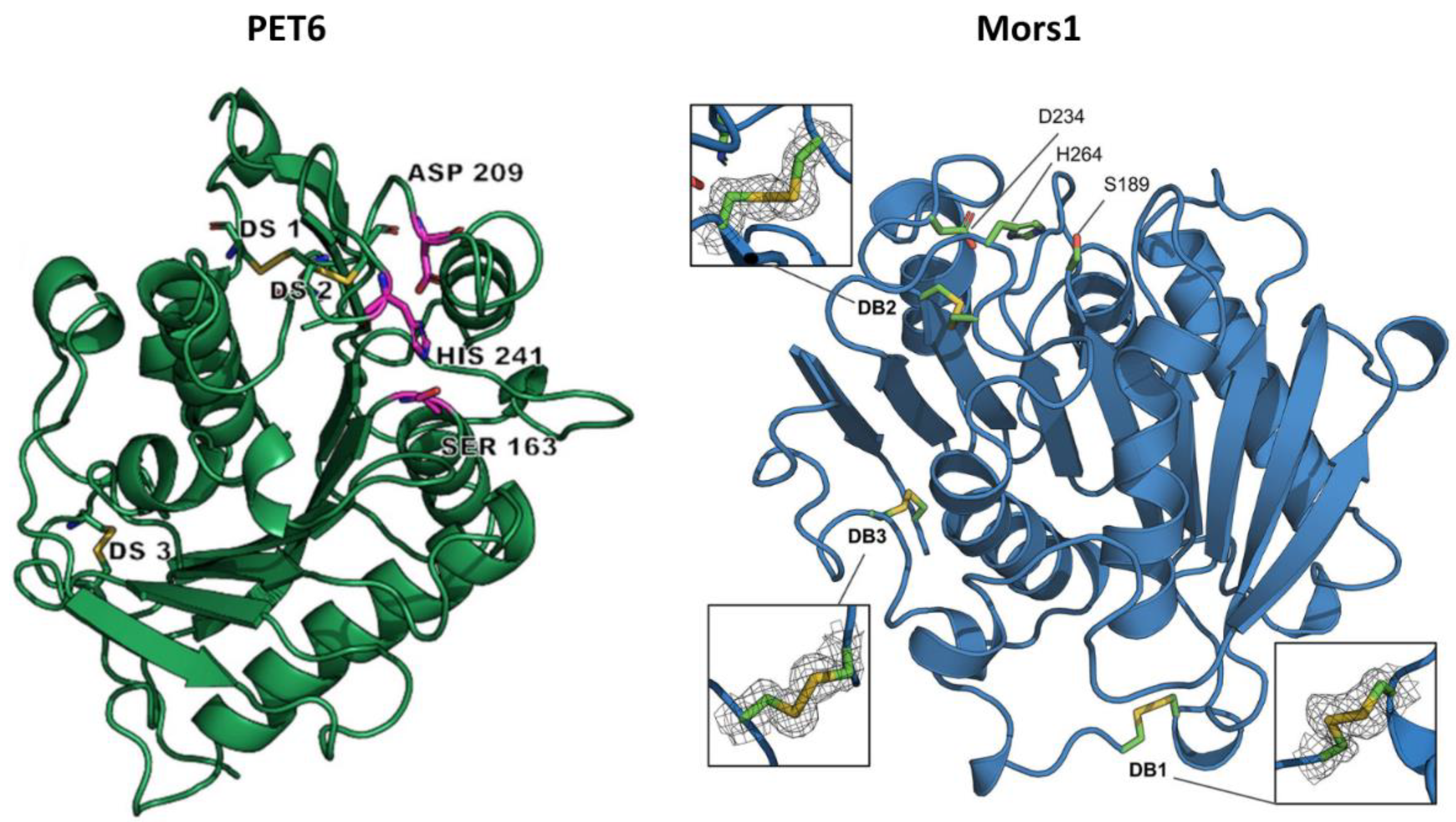 Preprints 116997 g004