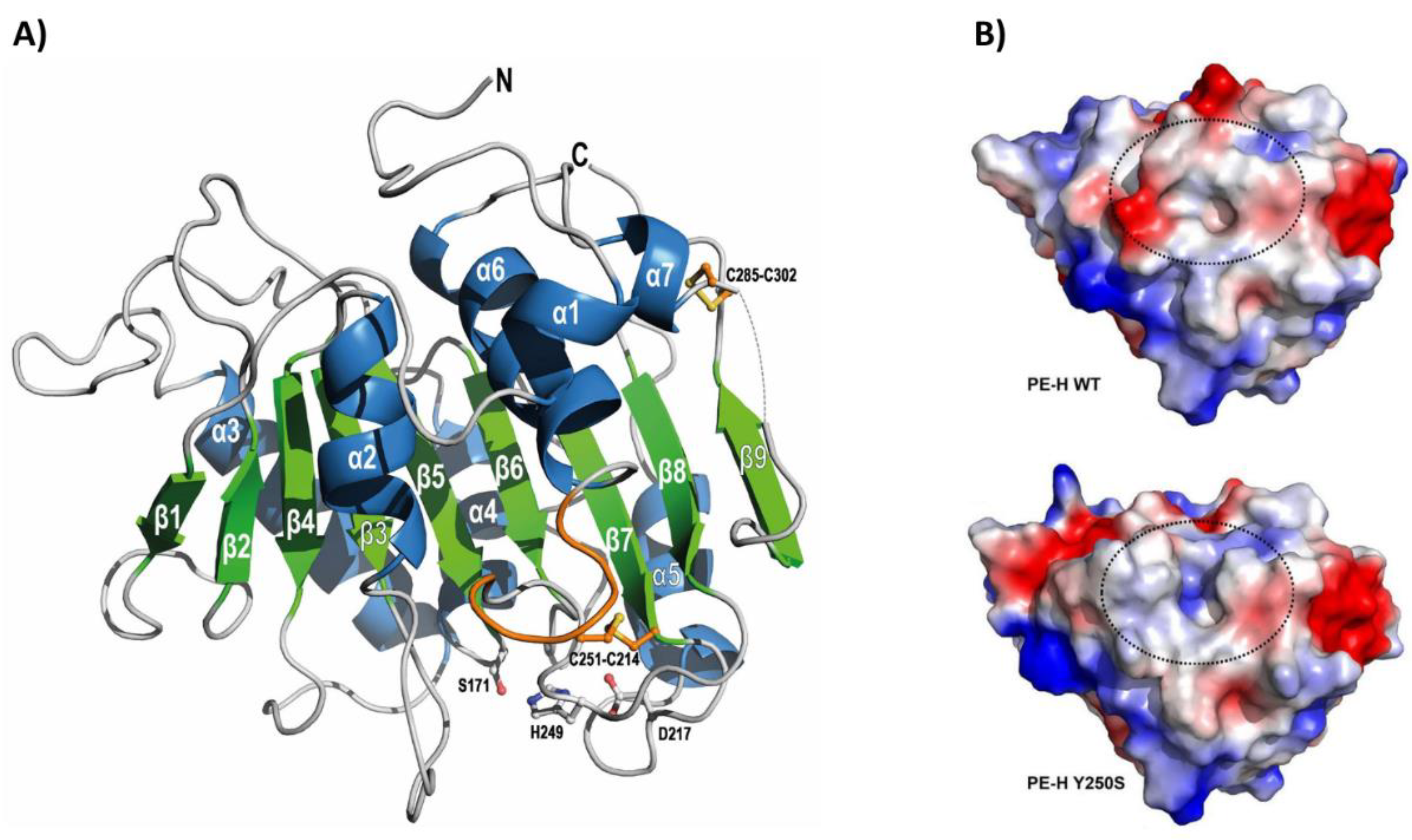 Preprints 116997 g005