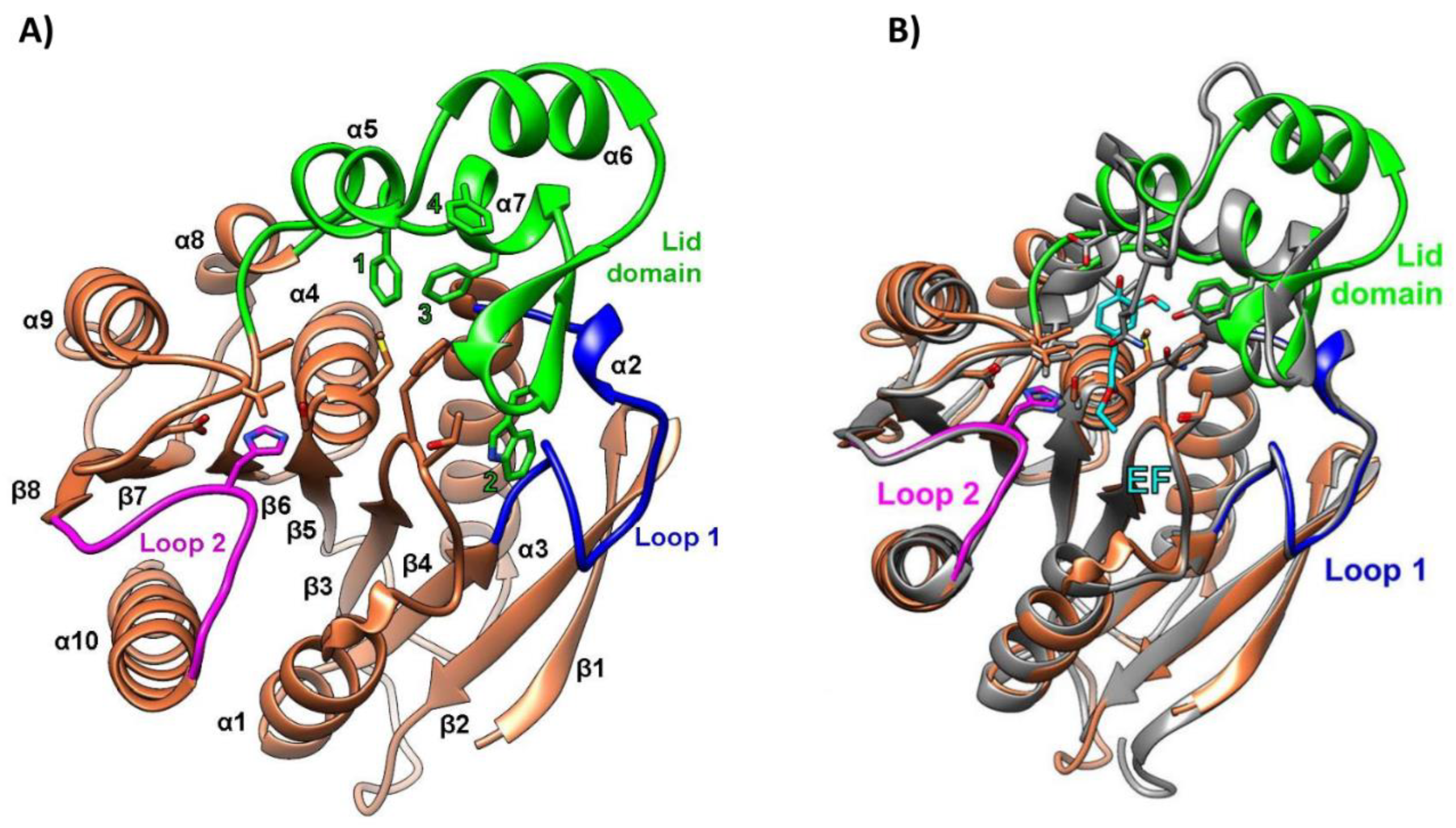 Preprints 116997 g006