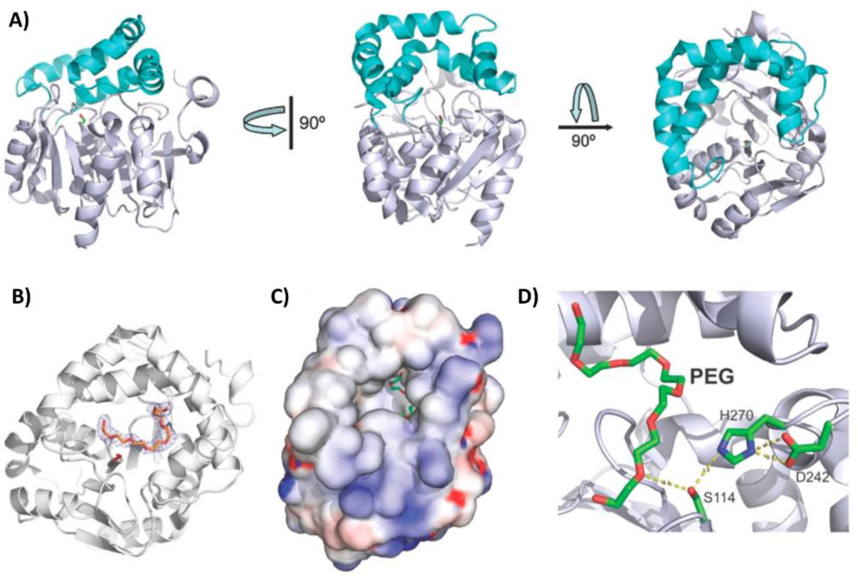 Preprints 116997 g007