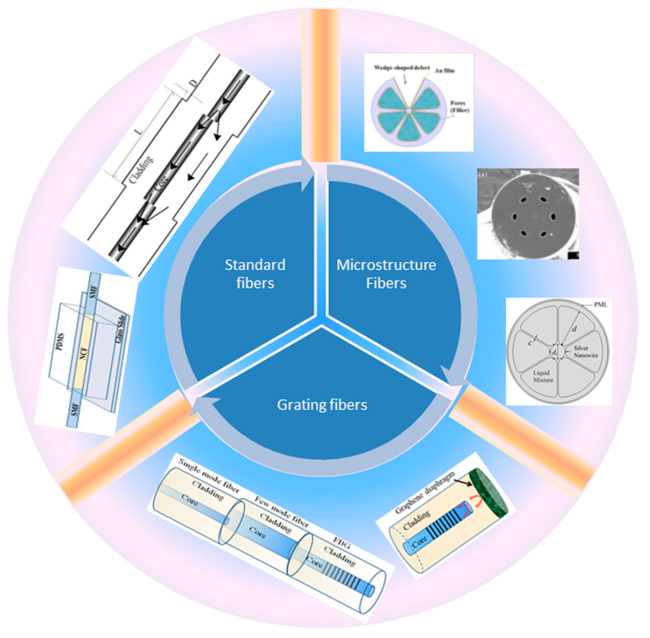 Preprints 68505 g001