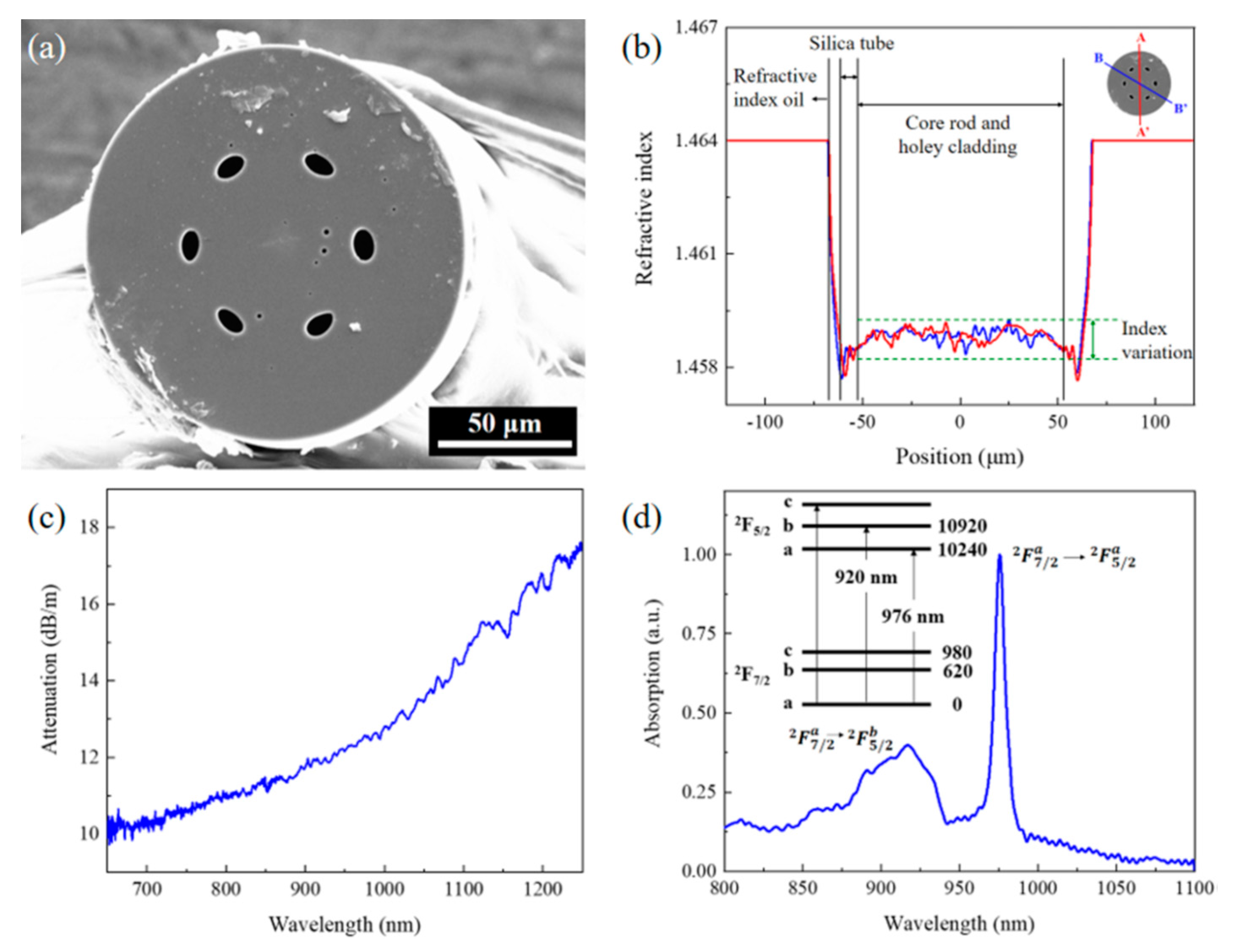 Preprints 68505 g007