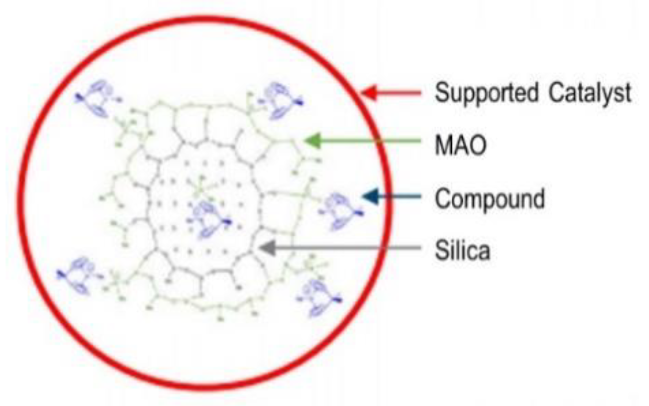 Preprints 117219 g006