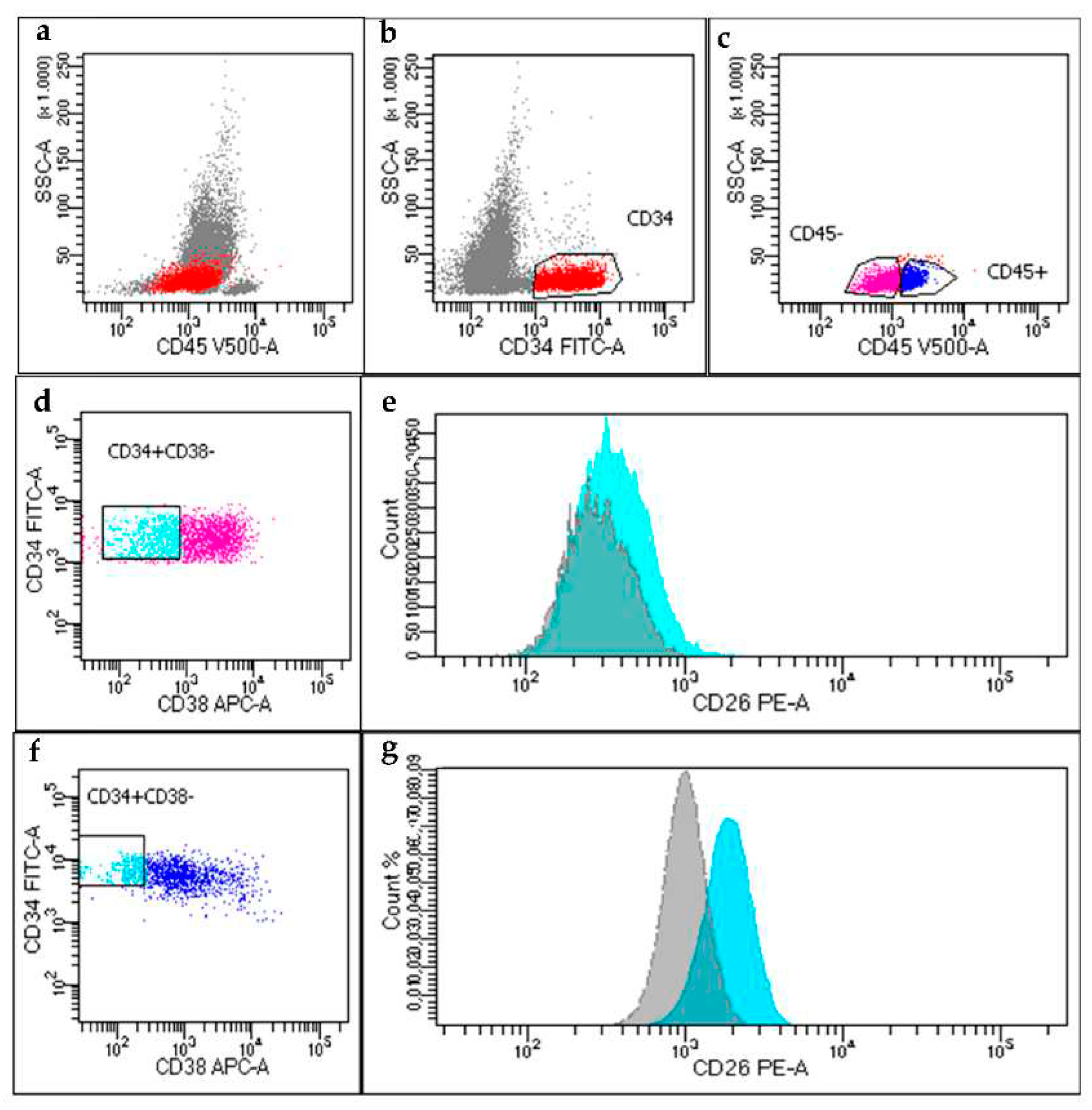 Preprints 71405 g002