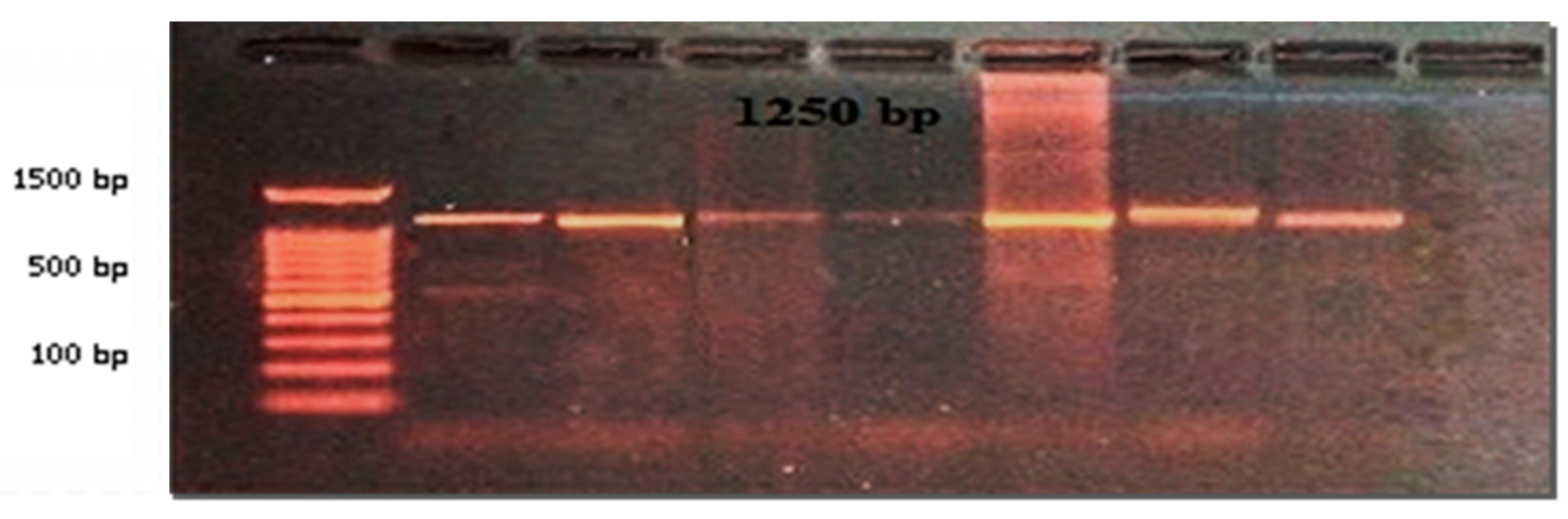 Preprints 94842 g002