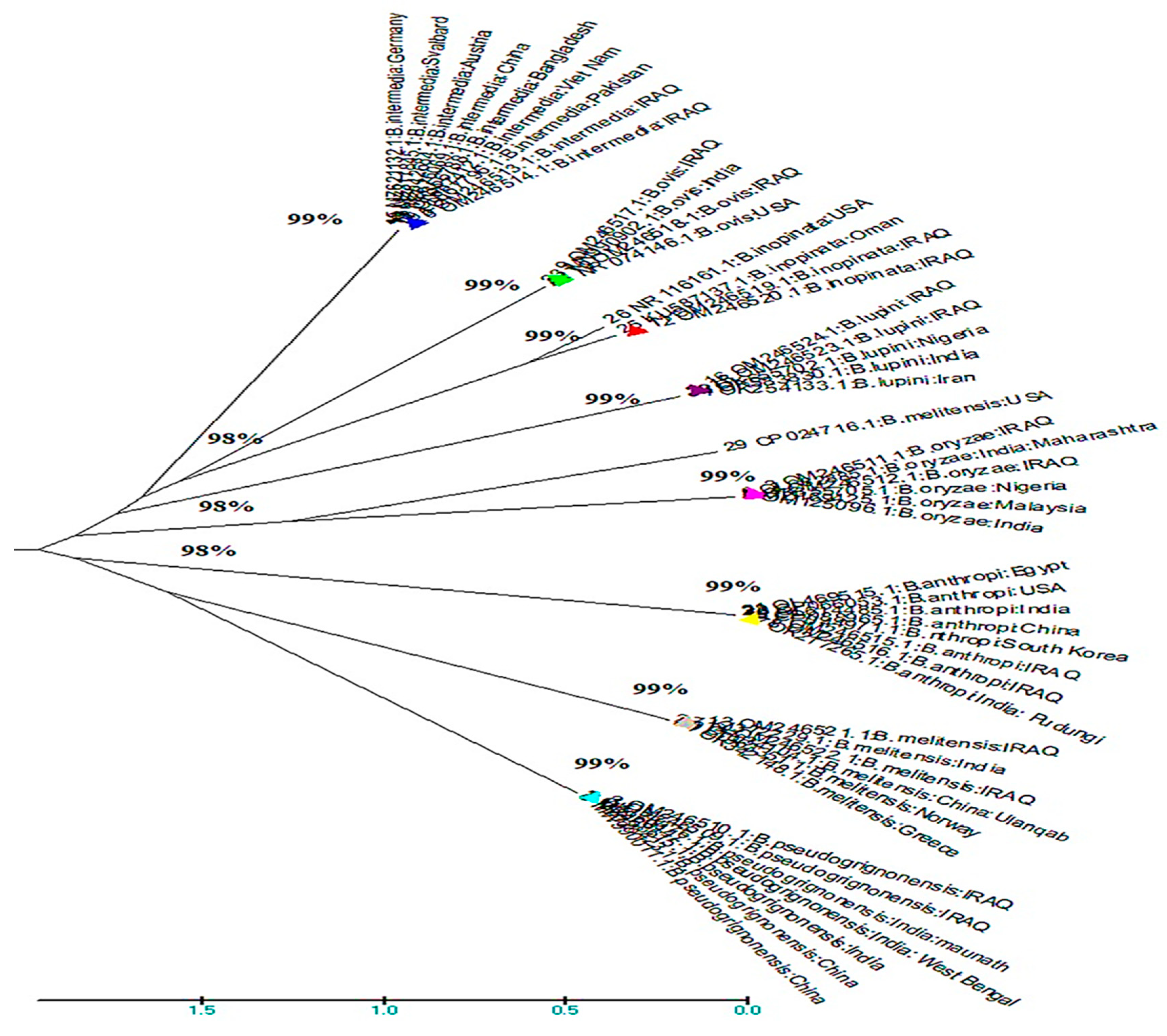 Preprints 94842 g003