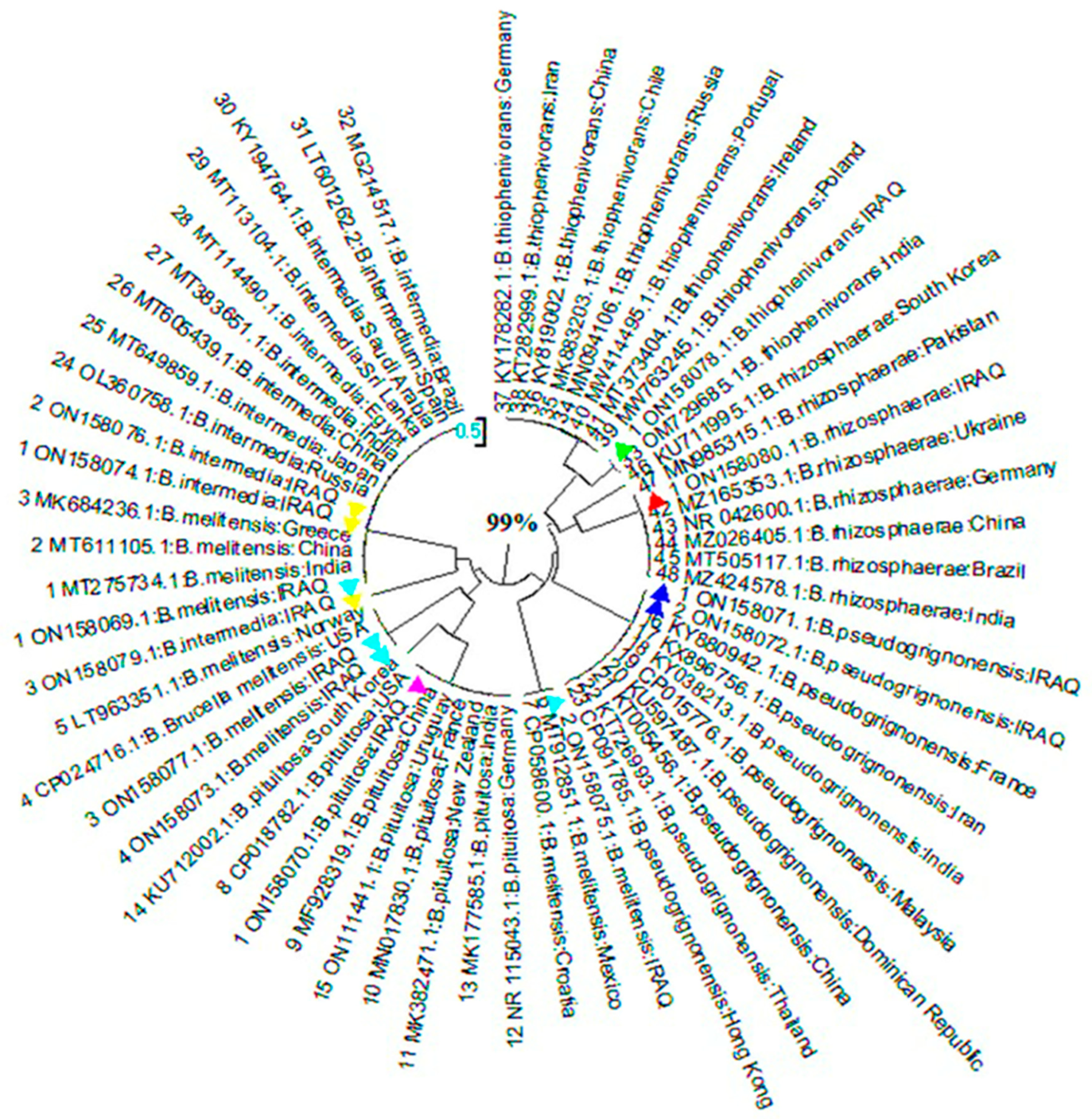 Preprints 94842 g004