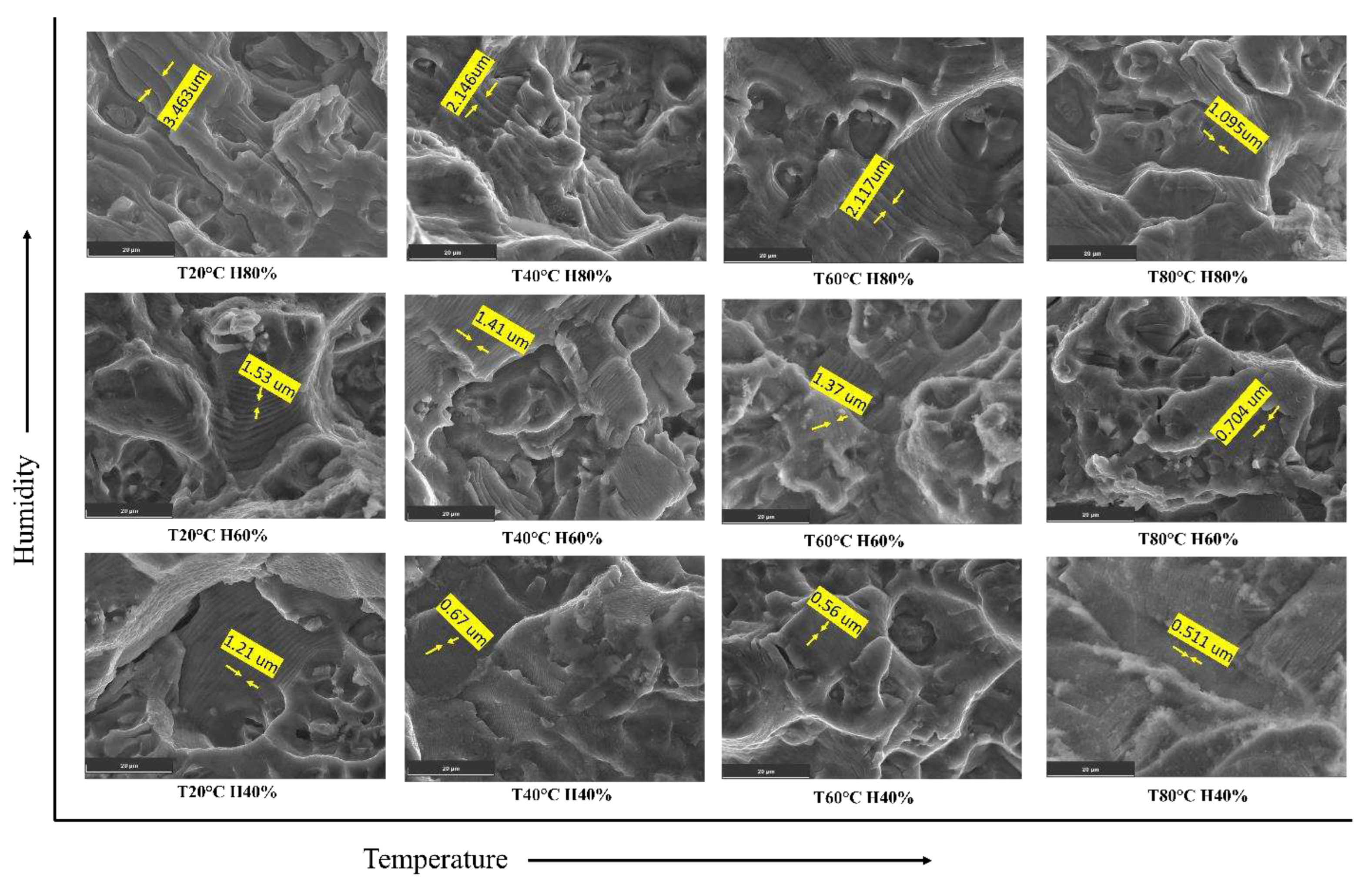 Preprints 86769 g012