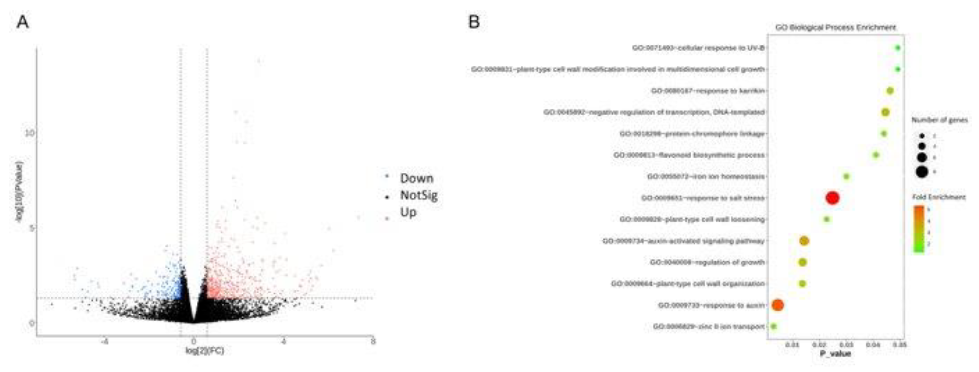 Preprints 90363 g002