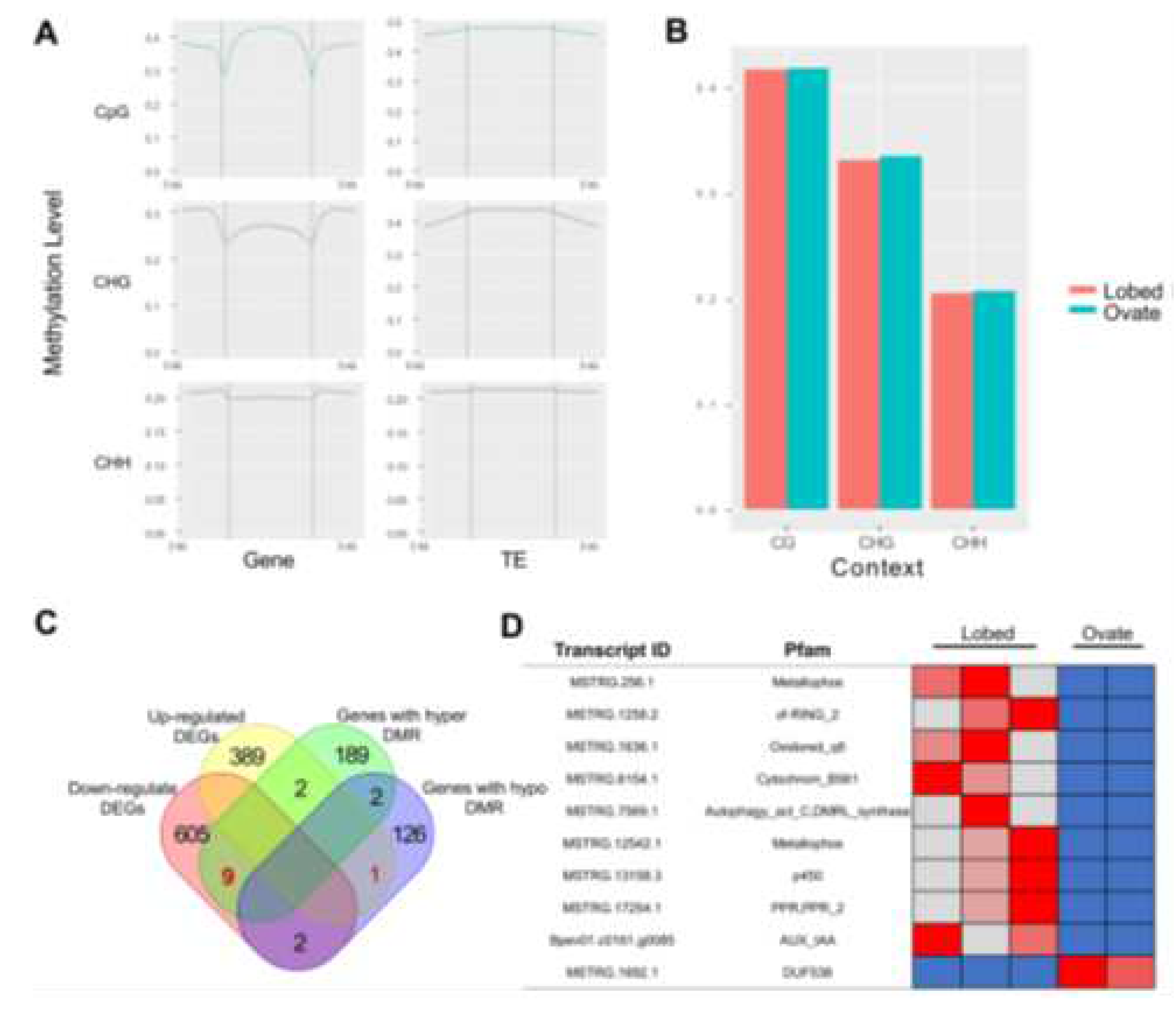 Preprints 90363 g003