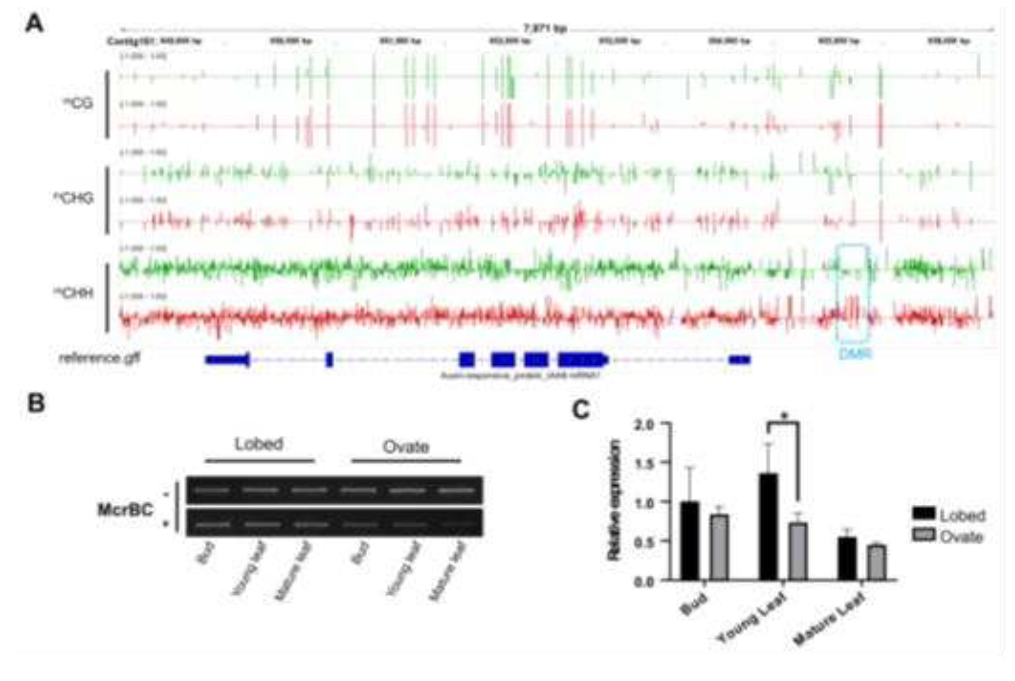 Preprints 90363 g004