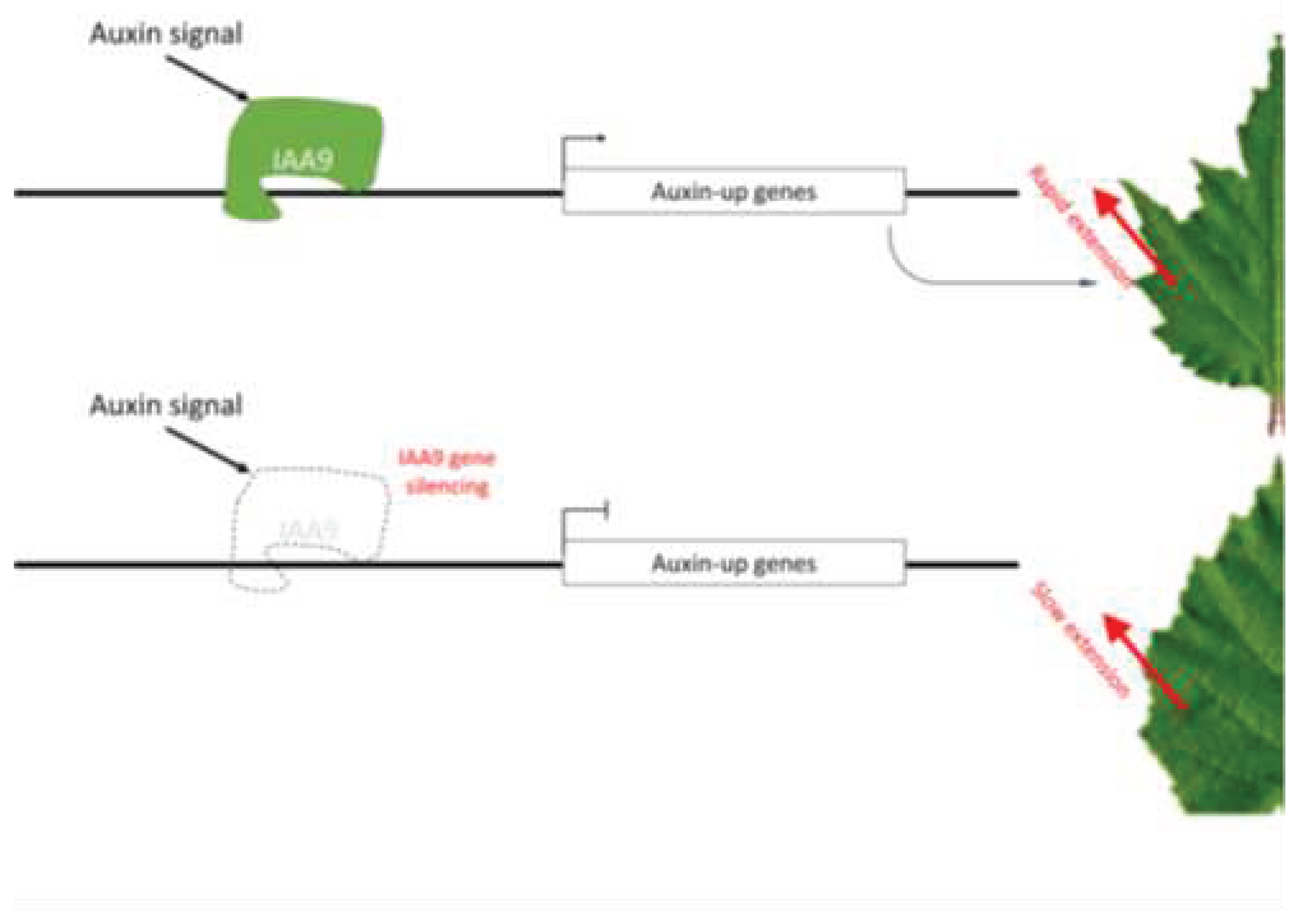 Preprints 90363 g005