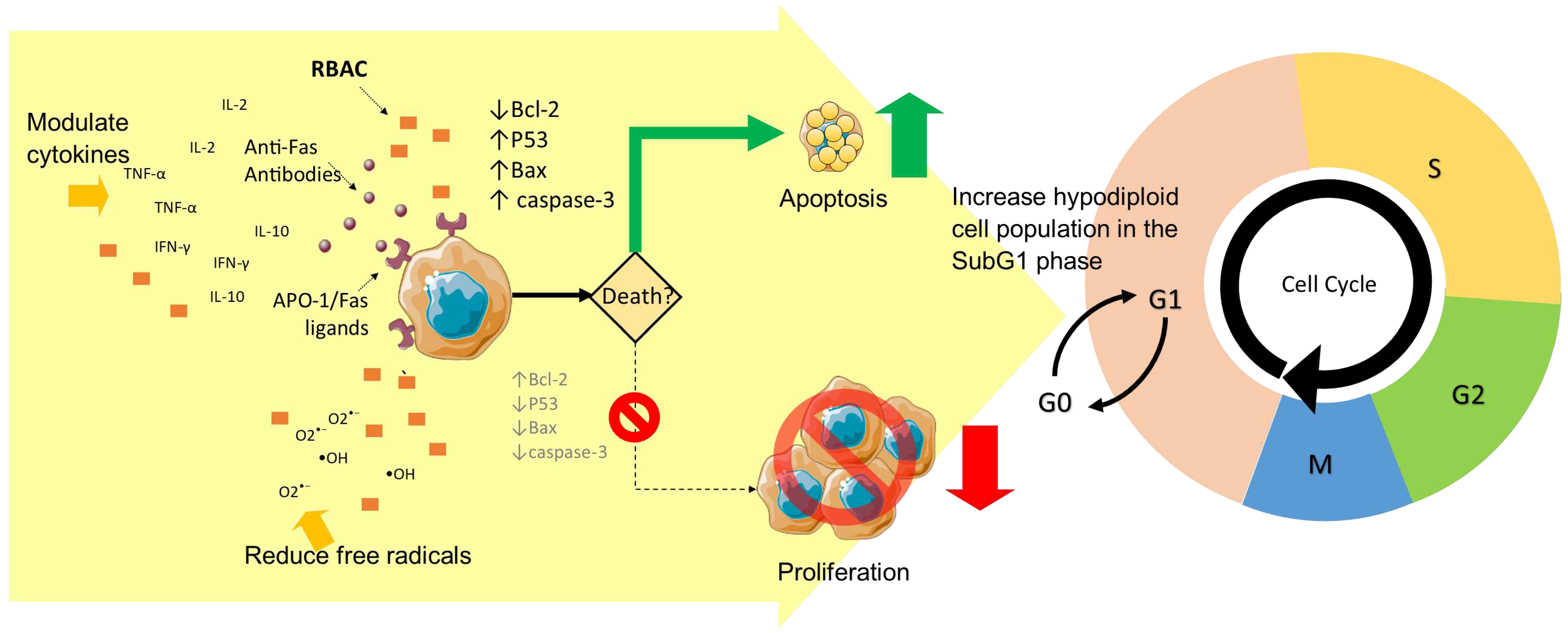 Preprints 87983 g003