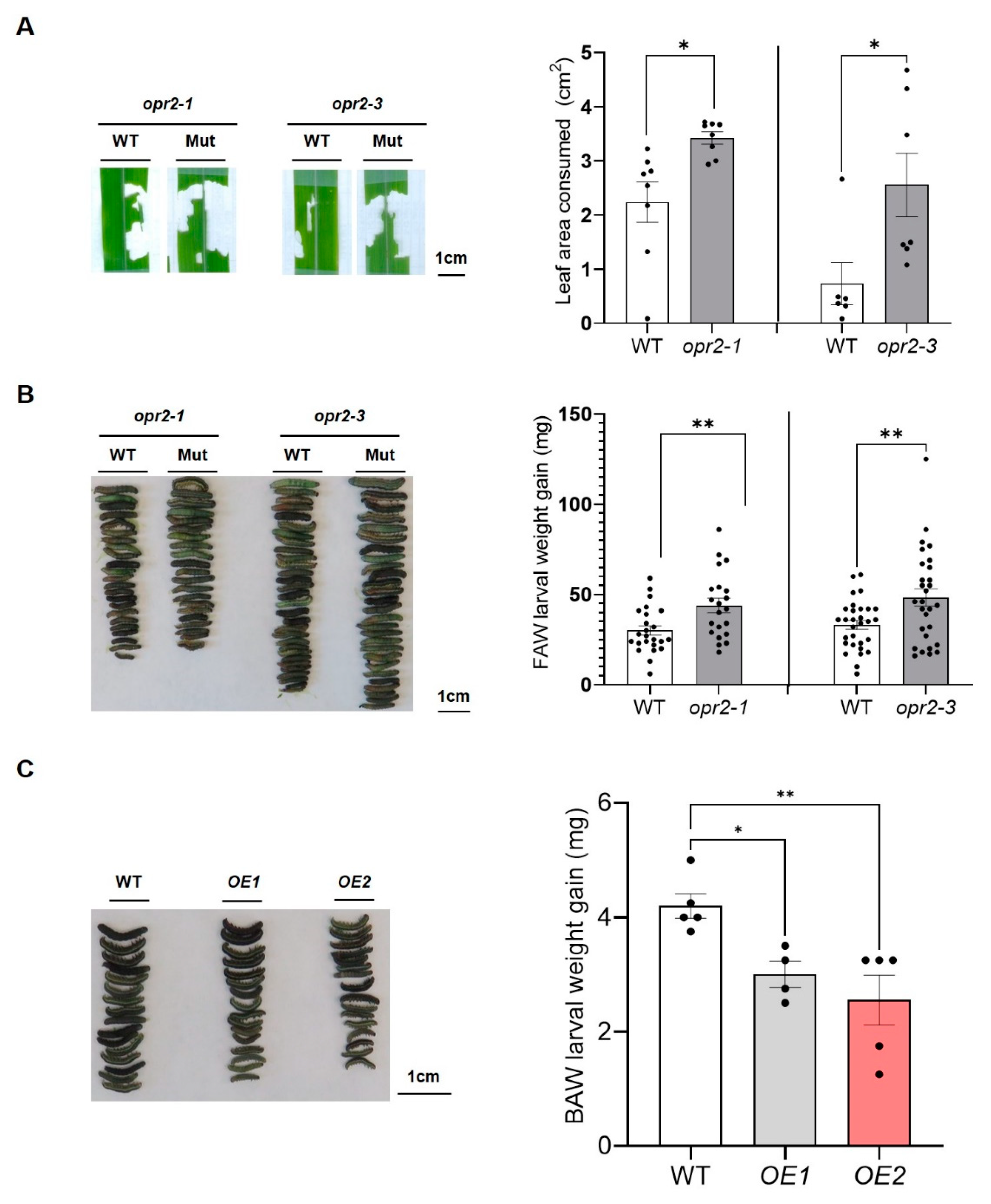 Preprints 82151 g001