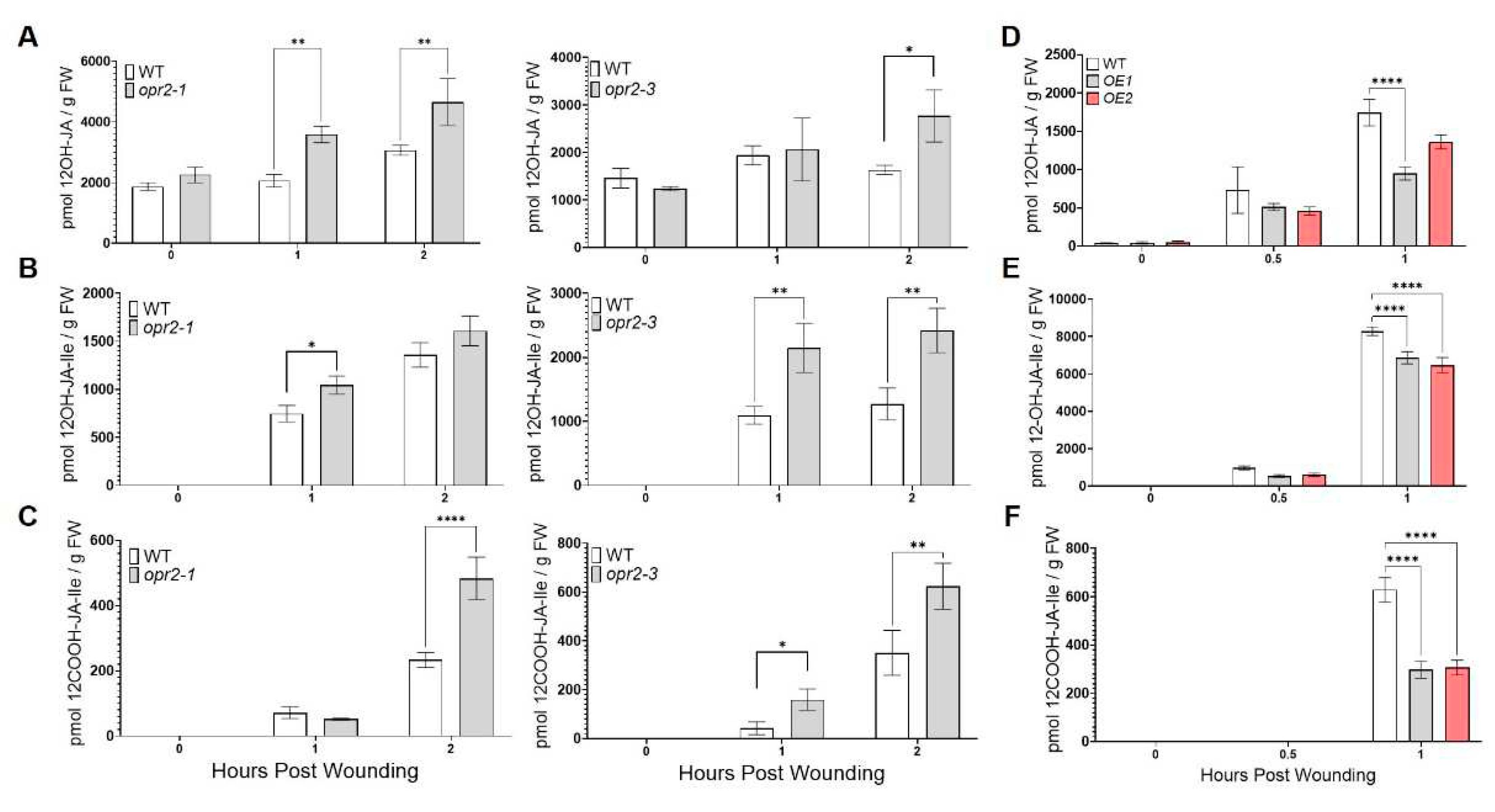 Preprints 82151 g004