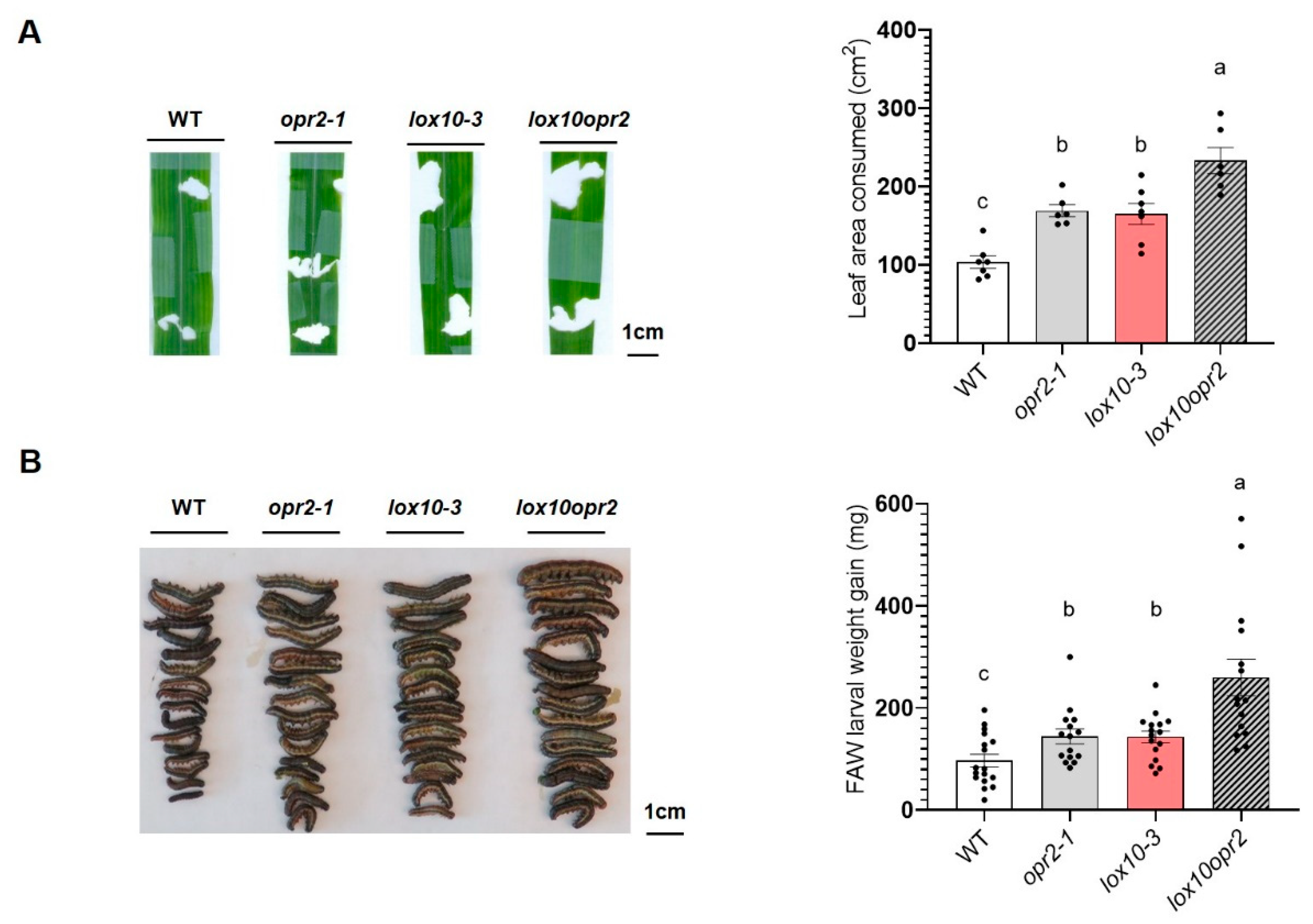 Preprints 82151 g005