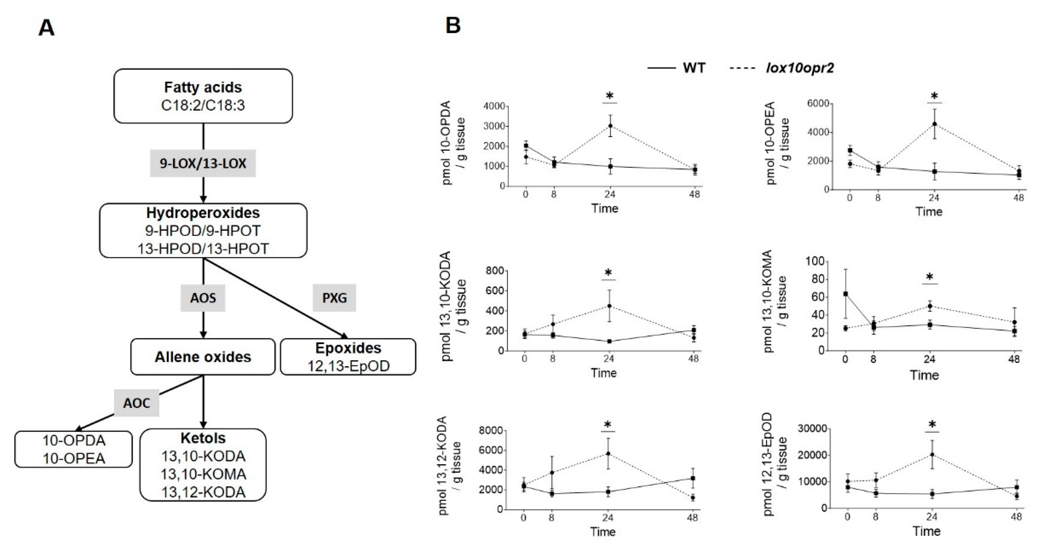 Preprints 82151 g007