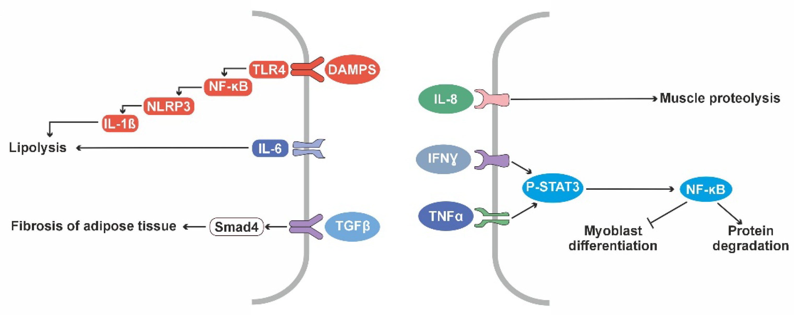 Preprints 103630 g003