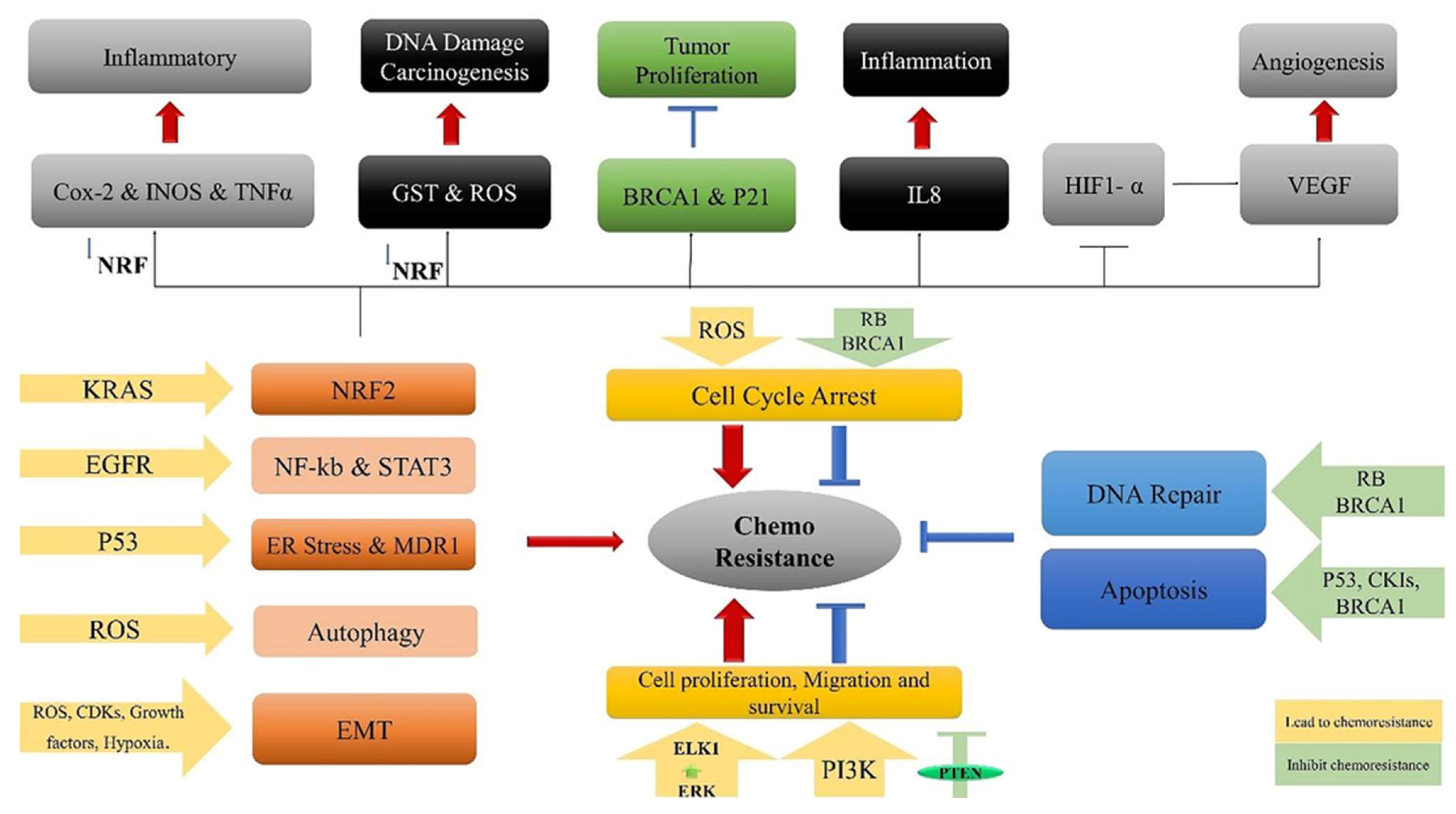 Preprints 95111 g001